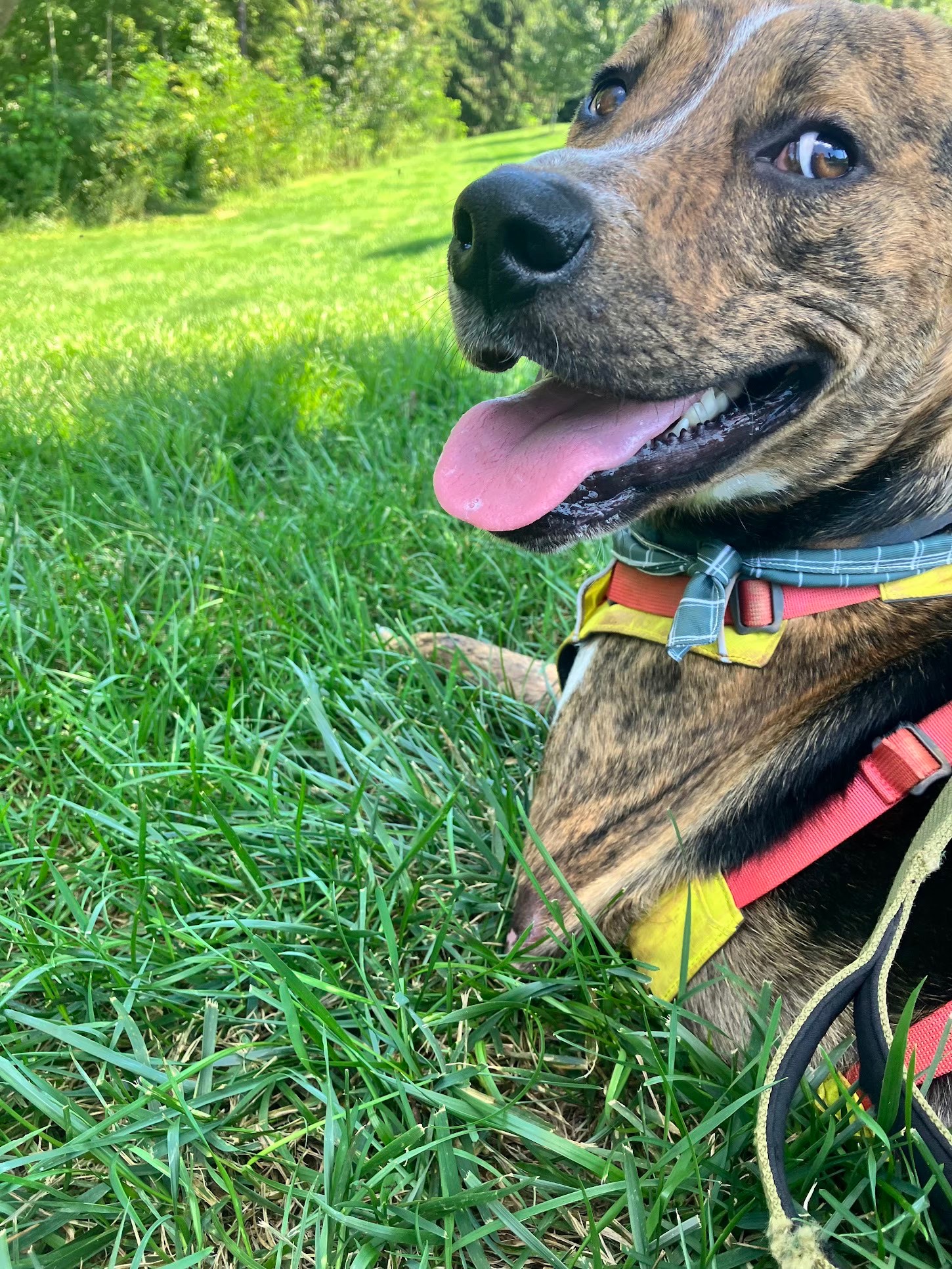 Help Theo Get the Prosthetic Leg He Deserves campaign photo, 5 of 8