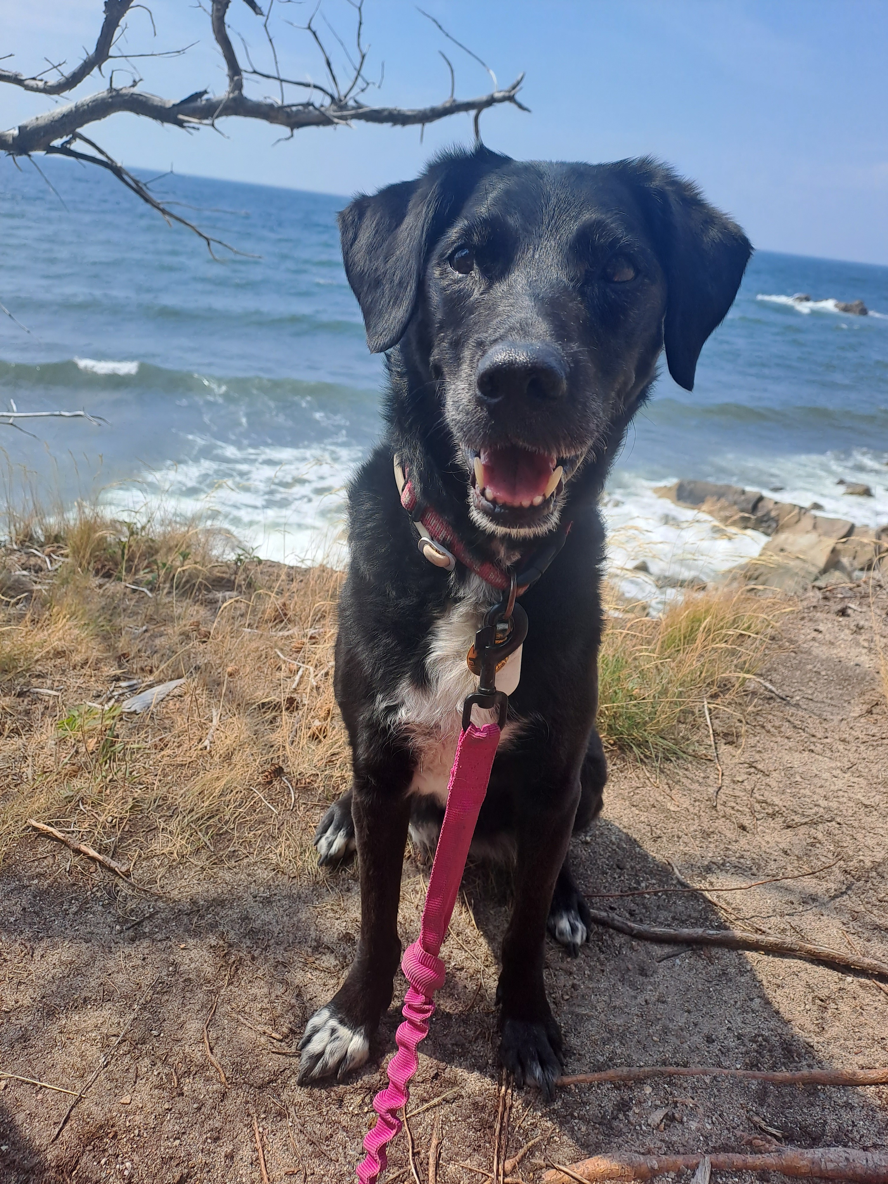 From Tumor to Treasure: Psiche Needs You! campaign photo, 4 of 8