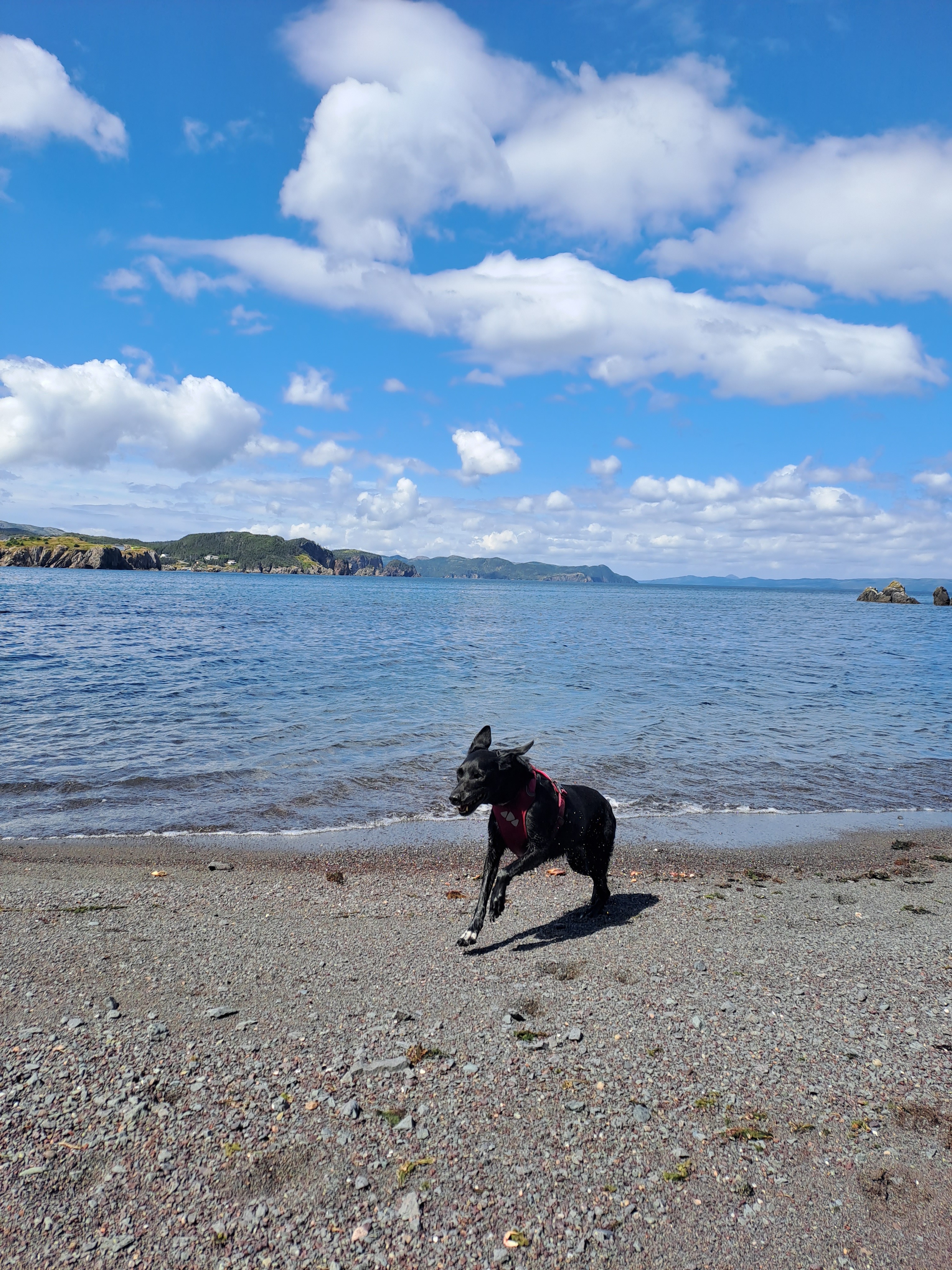 From Tumor to Treasure: Psiche Needs You! campaign photo, 5 of 8