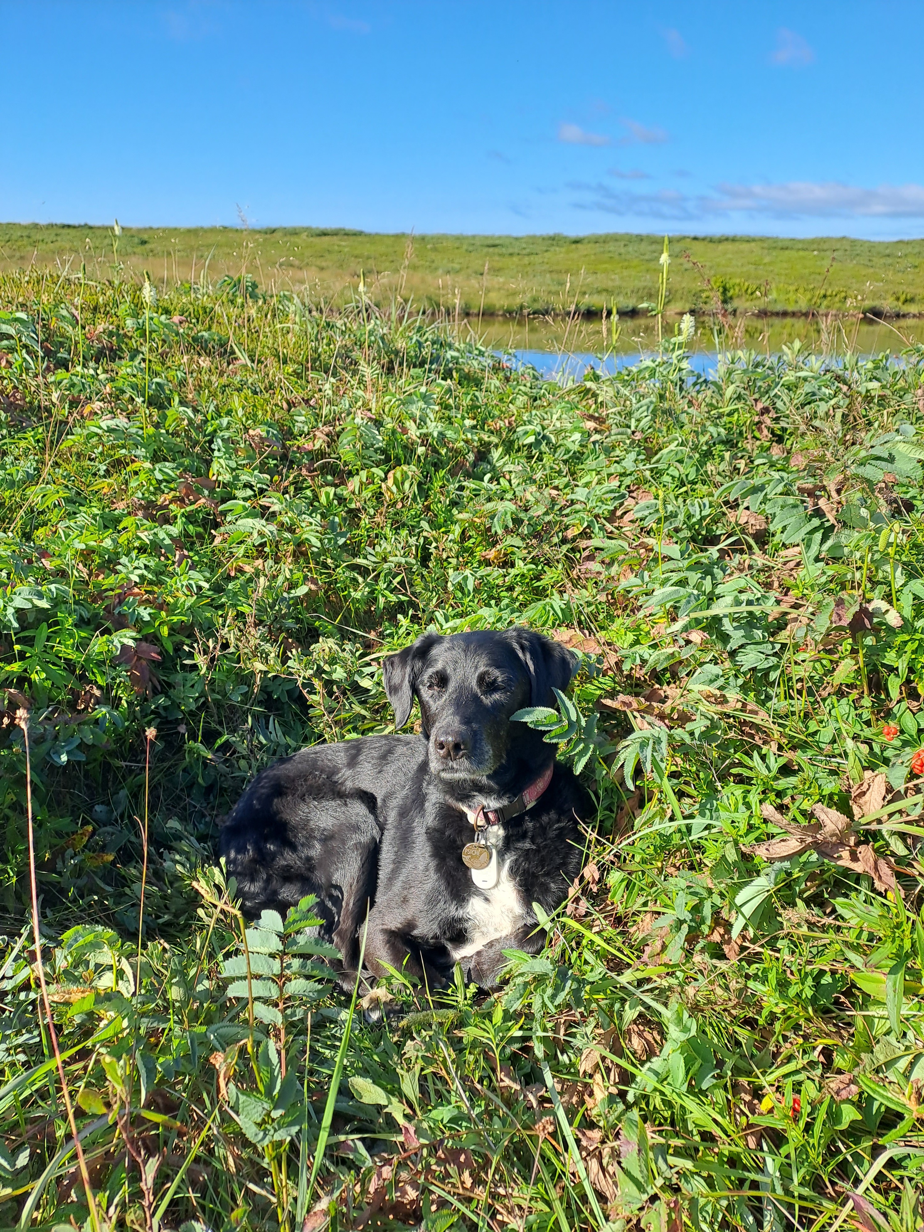 From Tumor to Treasure: Psiche Needs You! campaign photo, 6 of 8