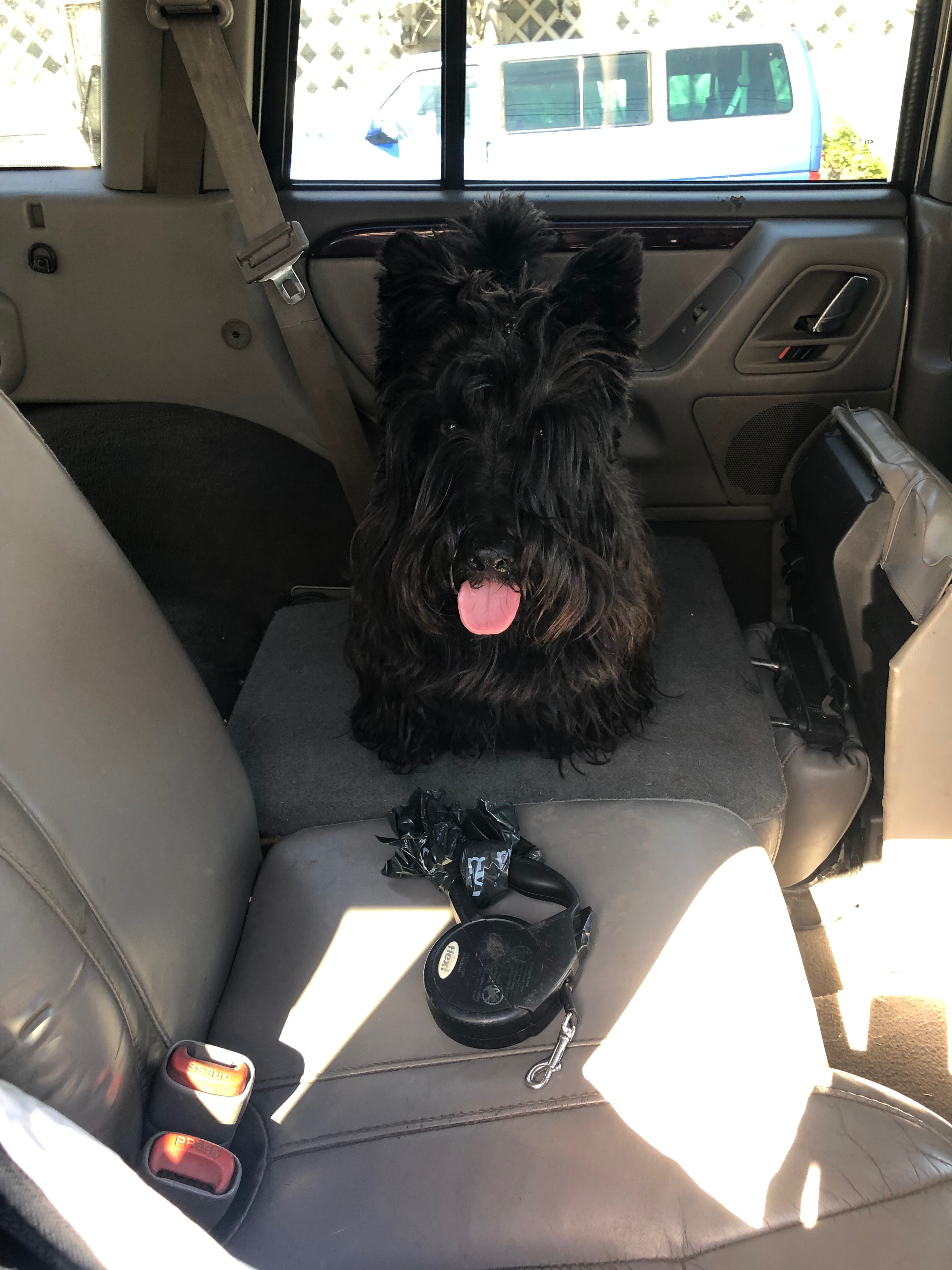 Emergency: Help Osiris Beat Infection & Keep His Leg campaign photo, 2 of 8