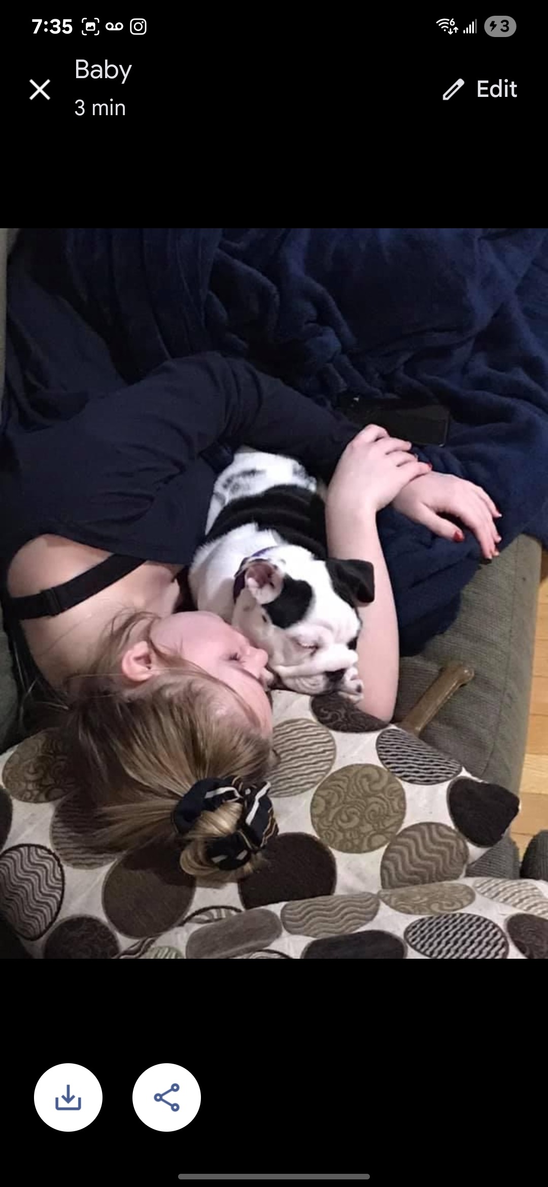 Help Us Save our family dog Bailey! campaign photo, 2 of 8