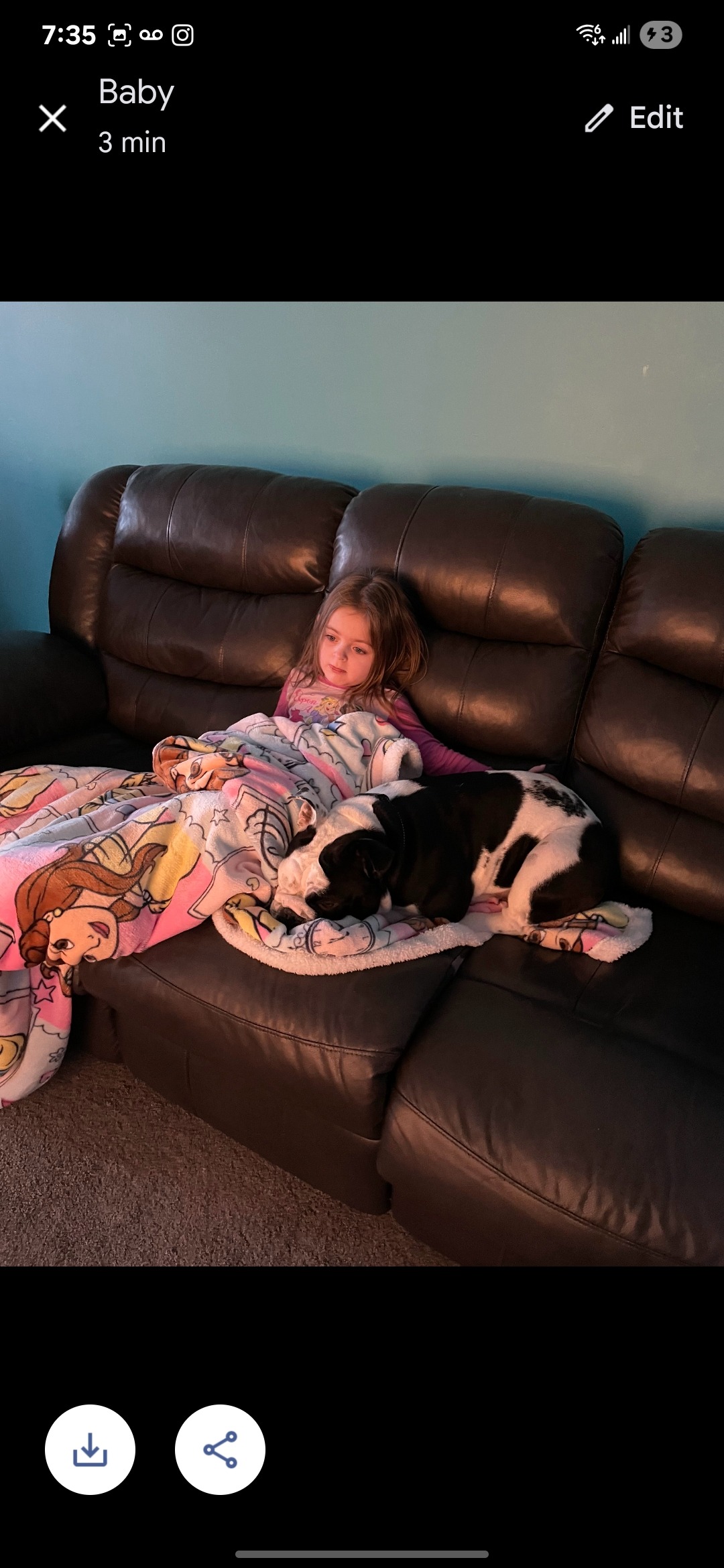 Help Us Save our family dog Bailey! campaign photo, 6 of 8