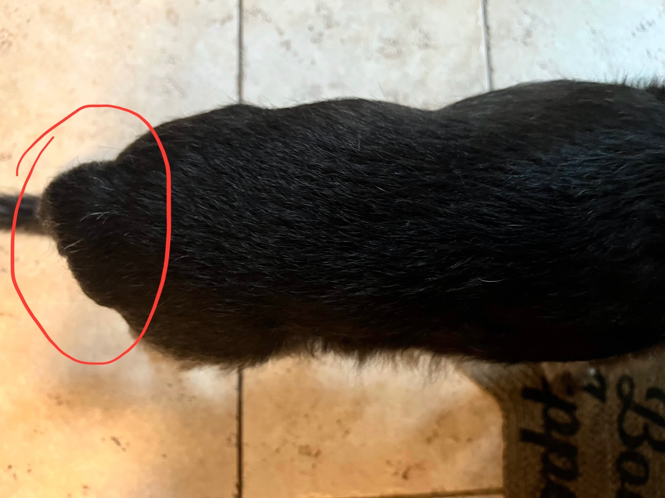 Urgent Surgery Needed to Save Sergei’s Life campaign photo, 5 of 7