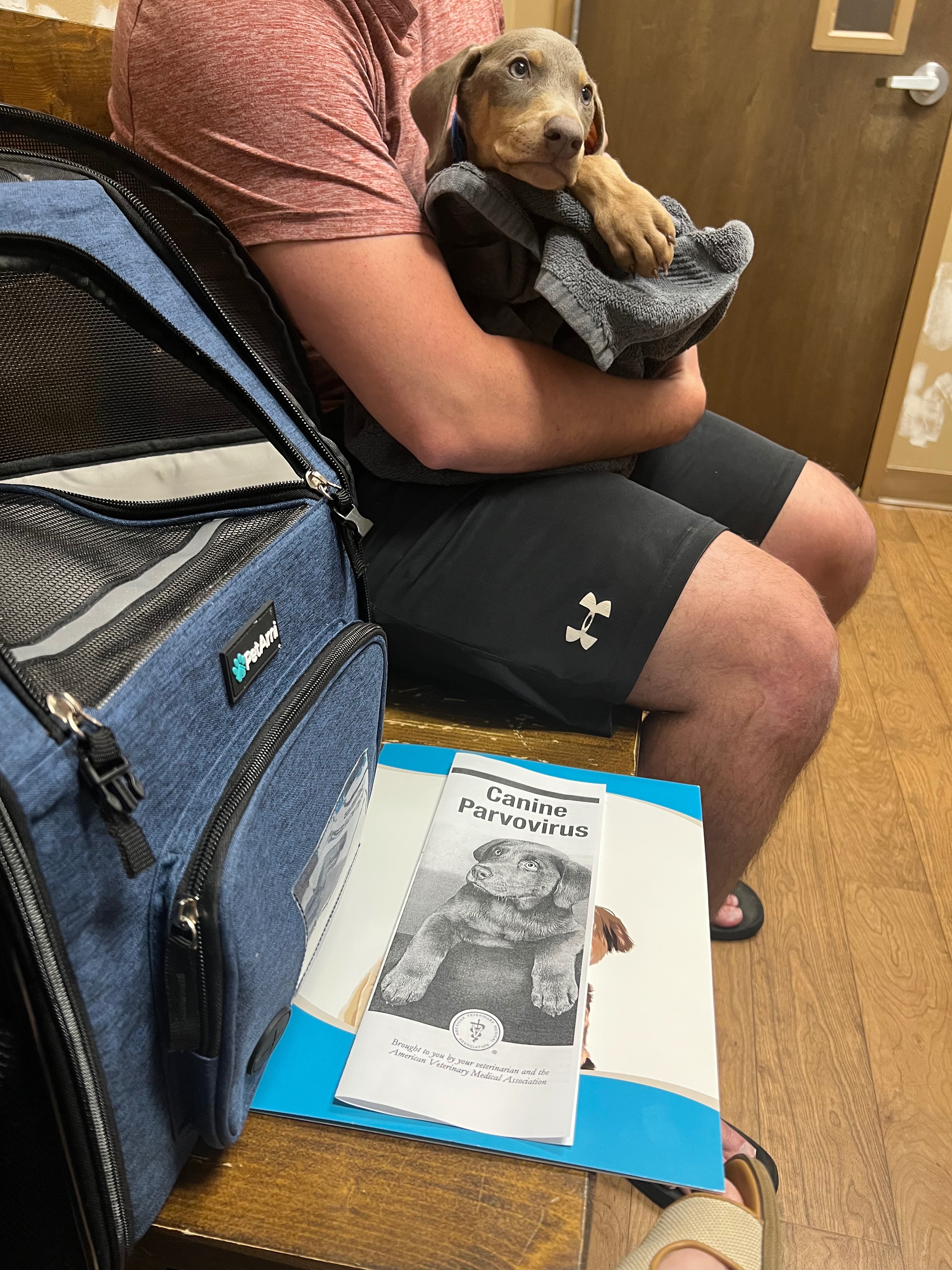 Save Denver: Fund His Parvo Care campaign photo, 4 of 7