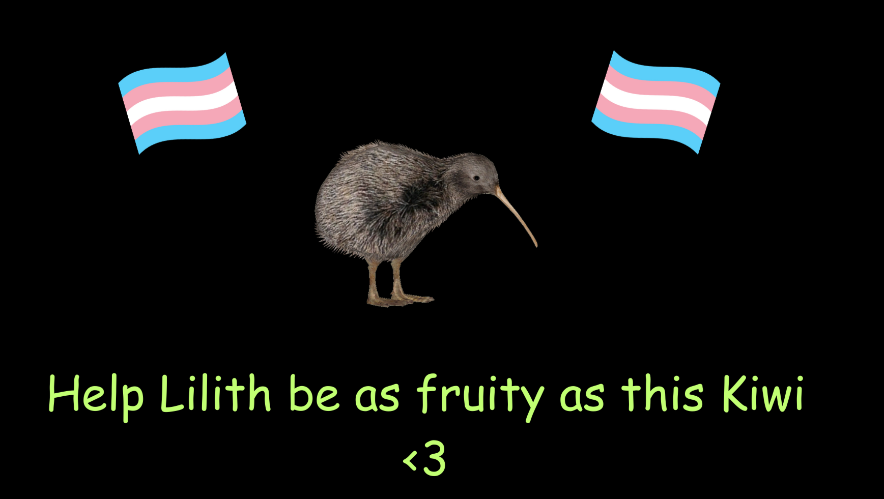 Help Lilith Transition photo