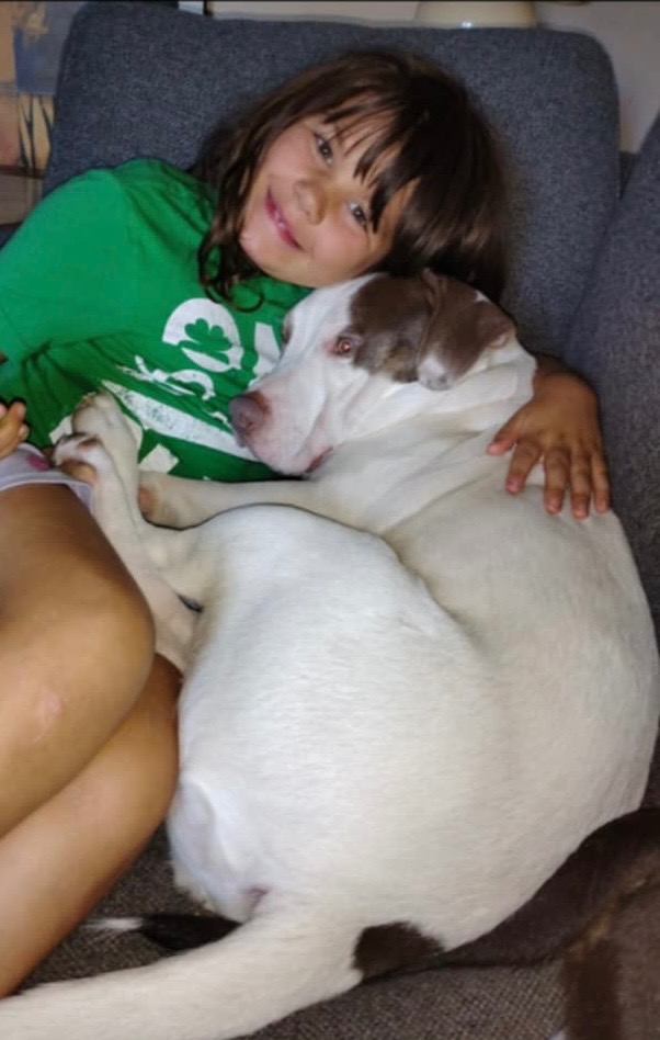 Help for Family dog campaign photo, 4 of 7