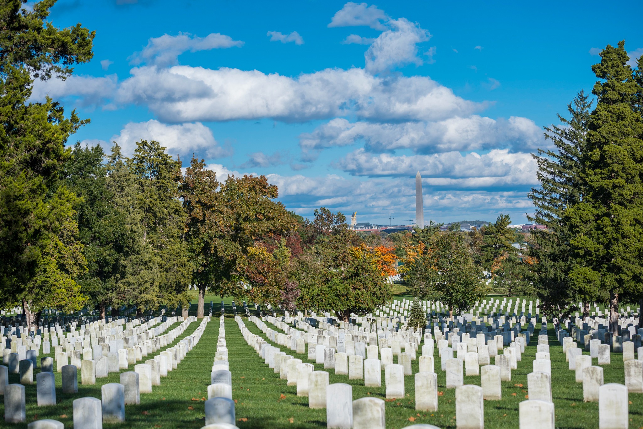 Help me get my father's ashes to where he asked to be buried campaign photo, 2 of 4