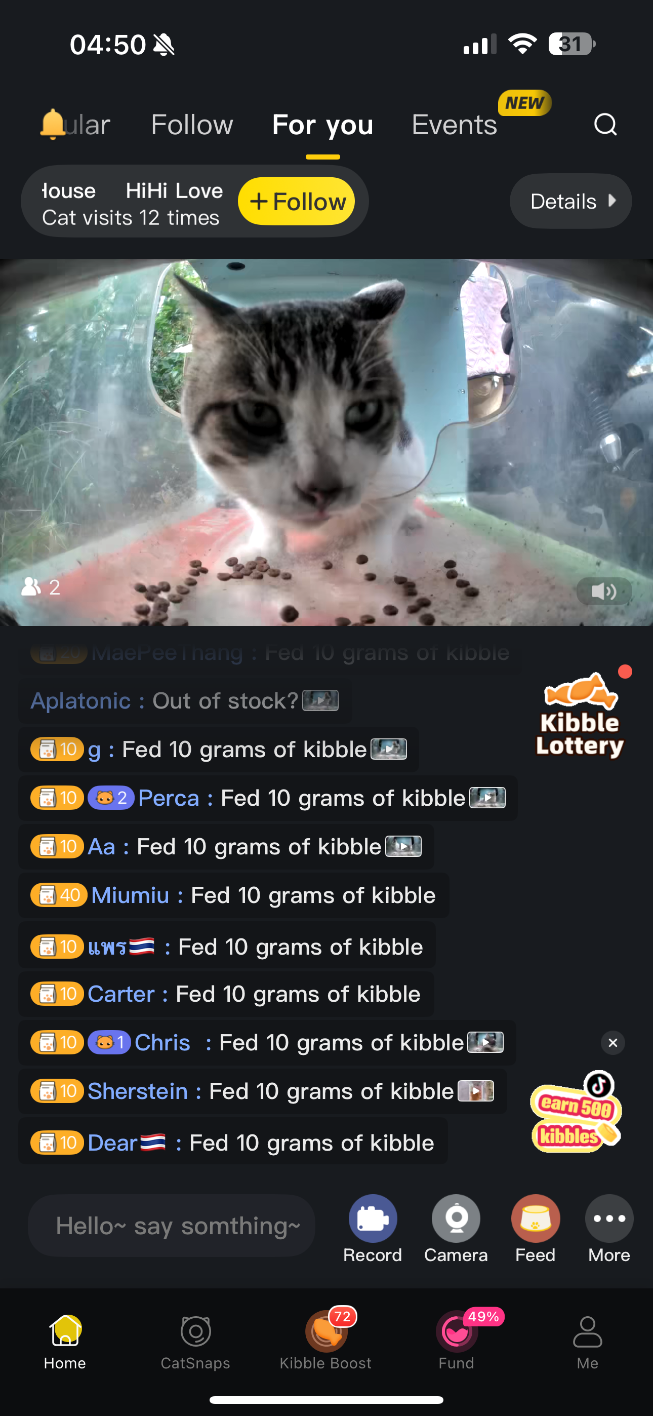 Help Gracie Feed Stray Cats with Purrr campaign photo, 4 of 5