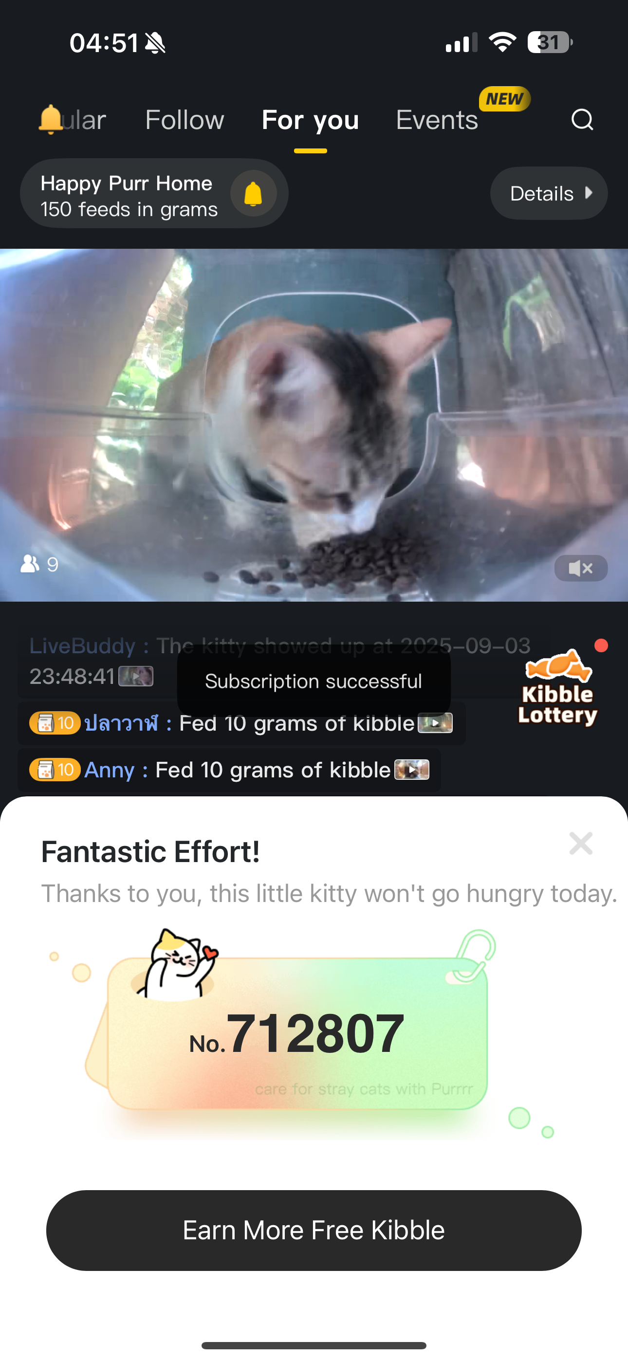 Help Gracie Feed Stray Cats with Purrr campaign photo, 2 of 5