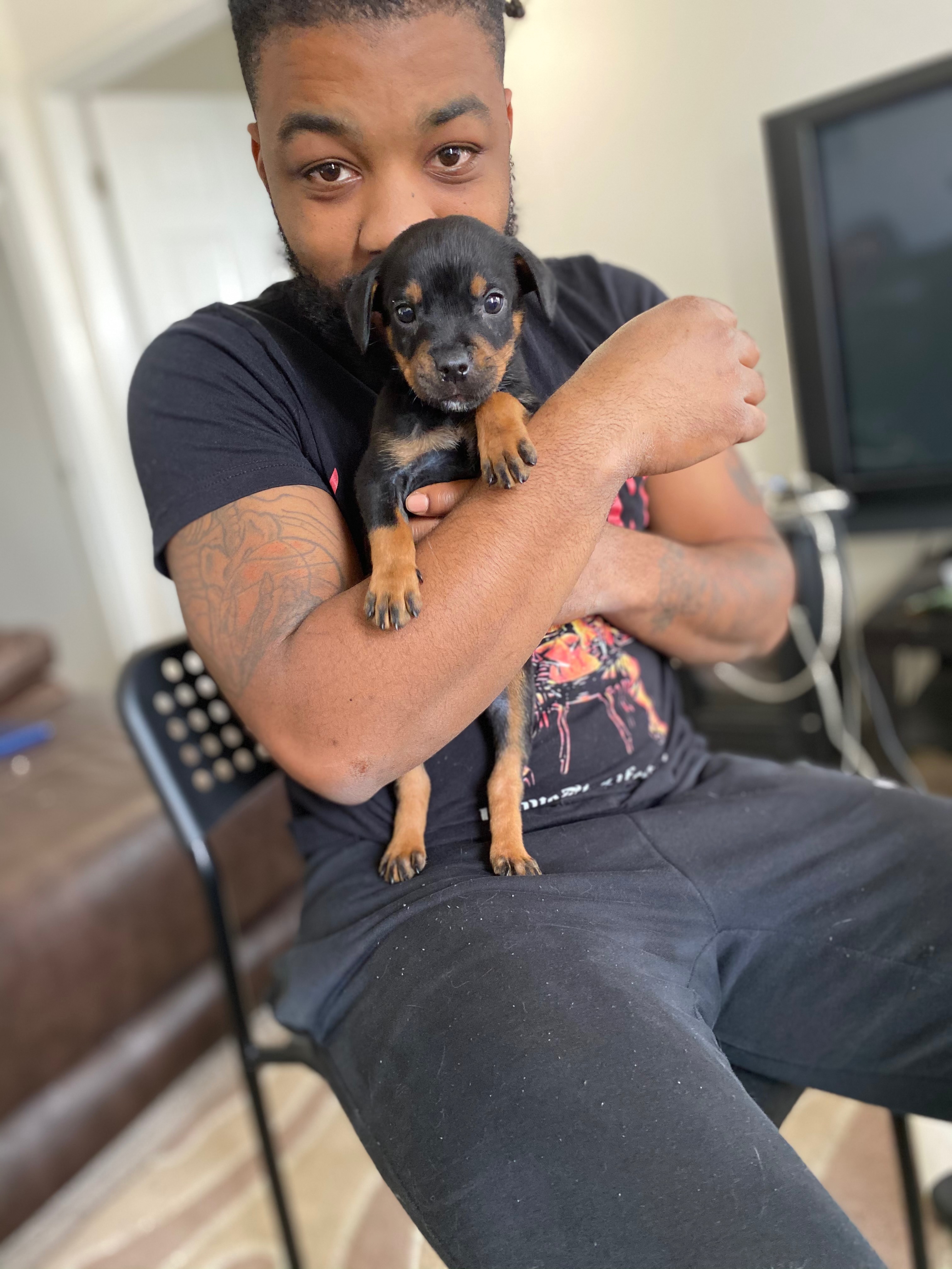 Our dog: Kobe’s peaceful goodbye and aftercare campaign photo, 2 of 8