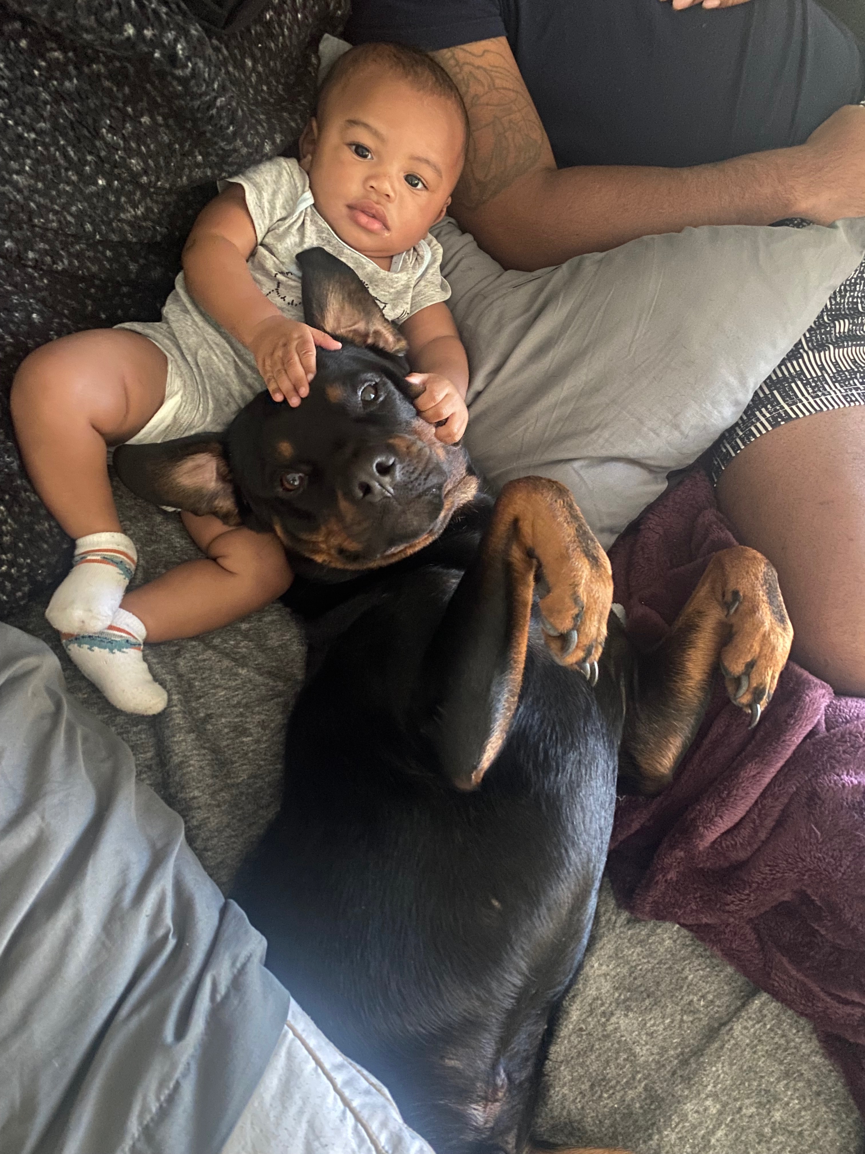 Our dog: Kobe’s peaceful goodbye and aftercare campaign photo, 4 of 8
