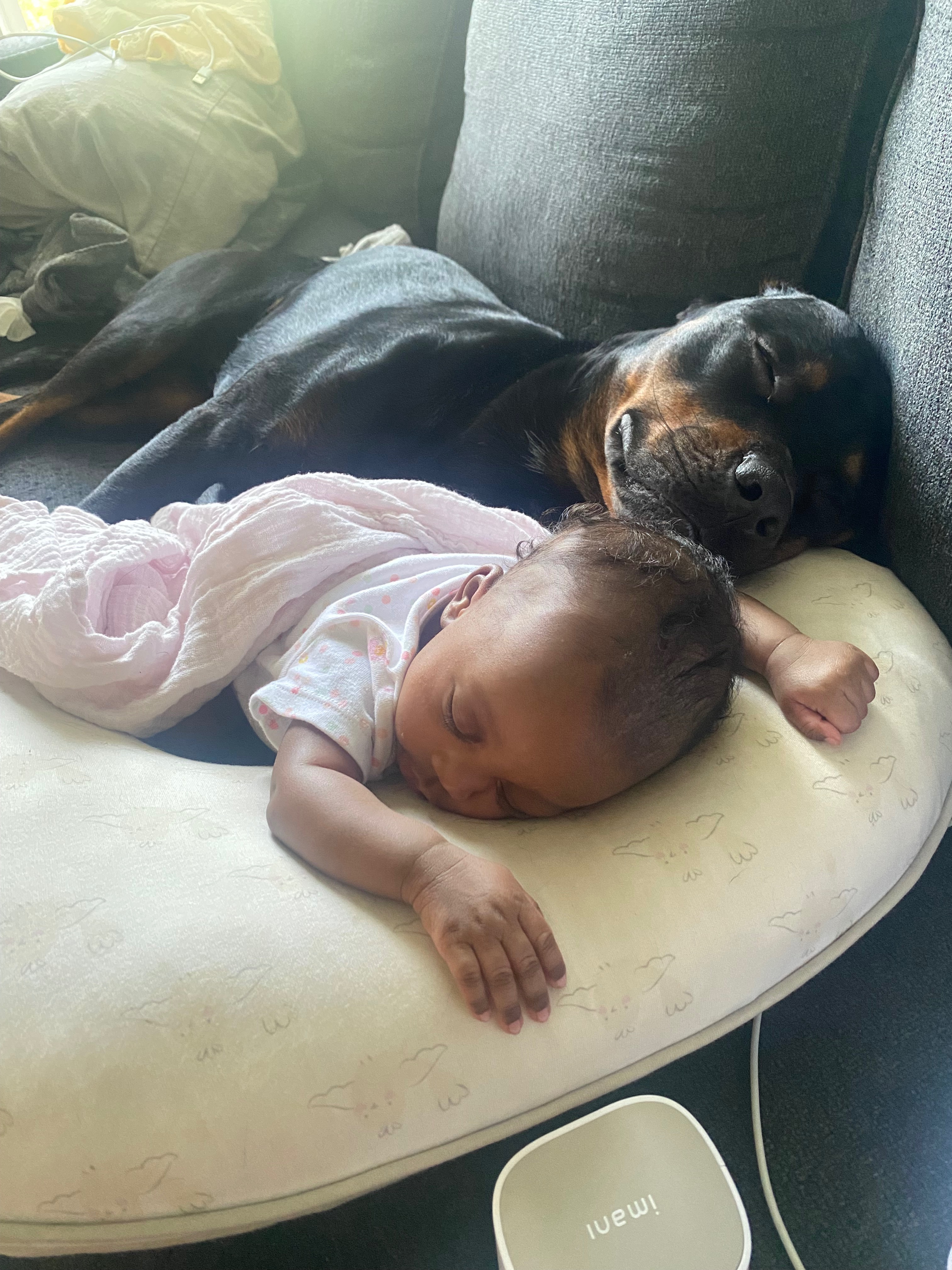 Our dog: Kobe’s peaceful goodbye and aftercare campaign photo, 5 of 8
