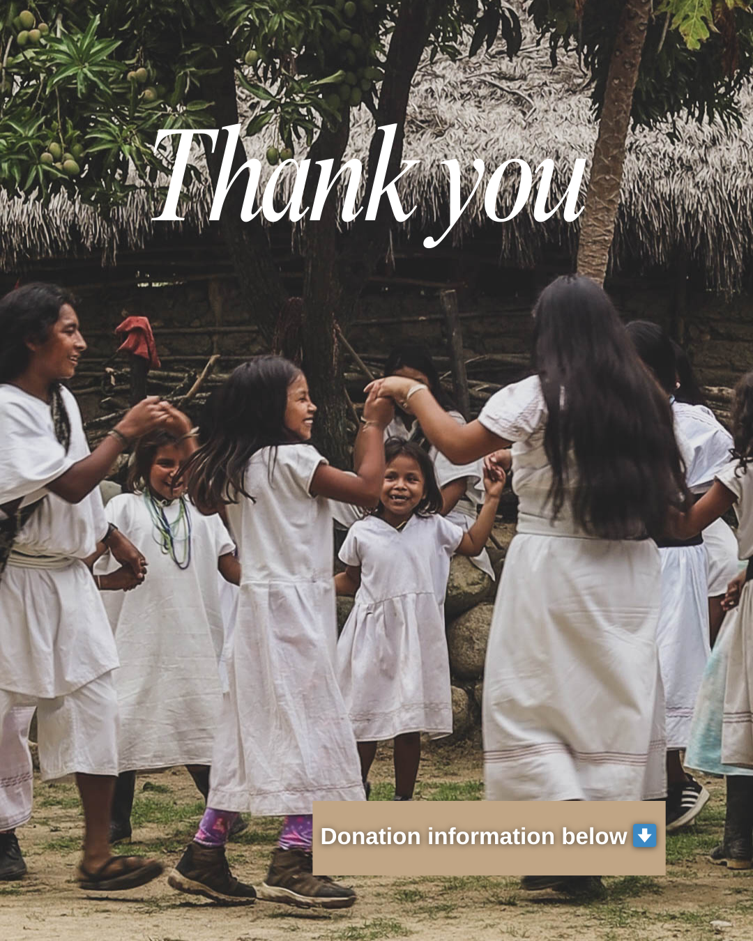 Help the children of La Sierra Nevada build their future! campaign photo, 5 of 8