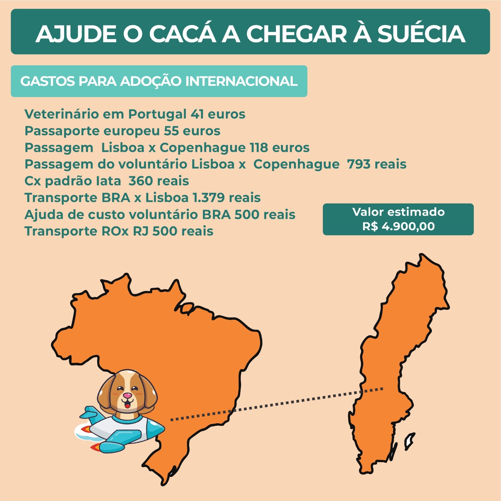 Ajude o Cacá na sua adoção Internacional campaign photo, 5 of 6