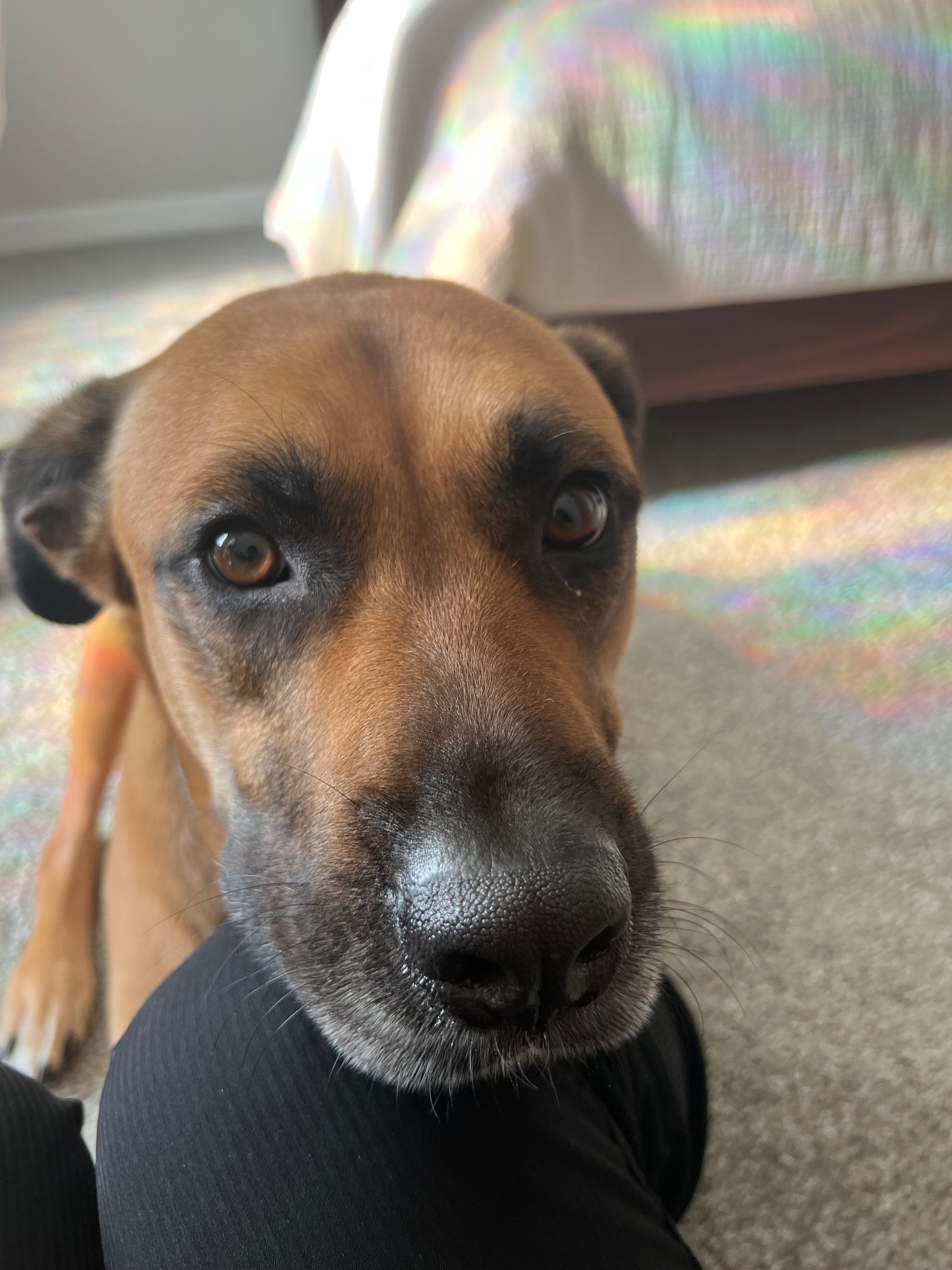 Help Atlas Heal: Support for Medical Bills campaign photo, 4 of 7