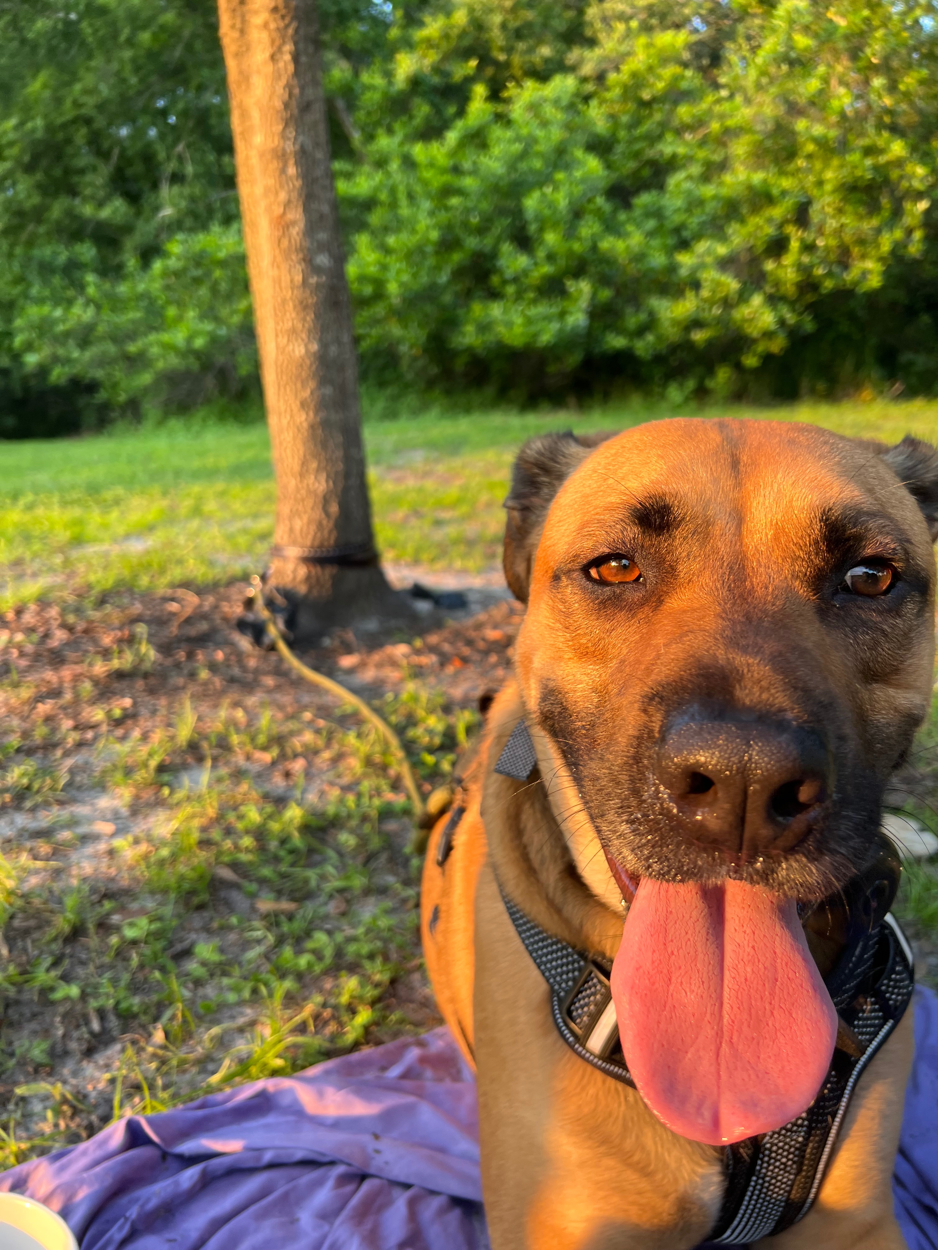 Help Atlas Heal: Support for Medical Bills campaign photo, 5 of 7