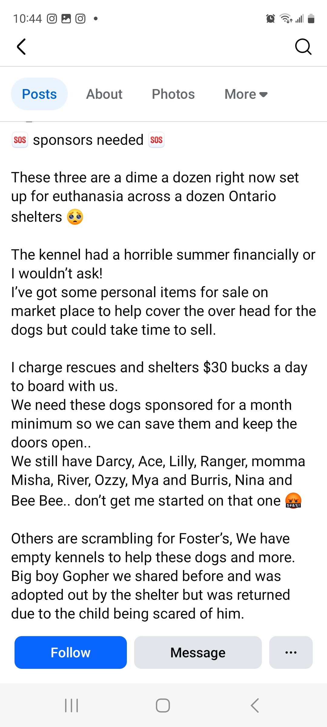 Help save these dogs lives from a death sentence campaign photo, 2 of 7