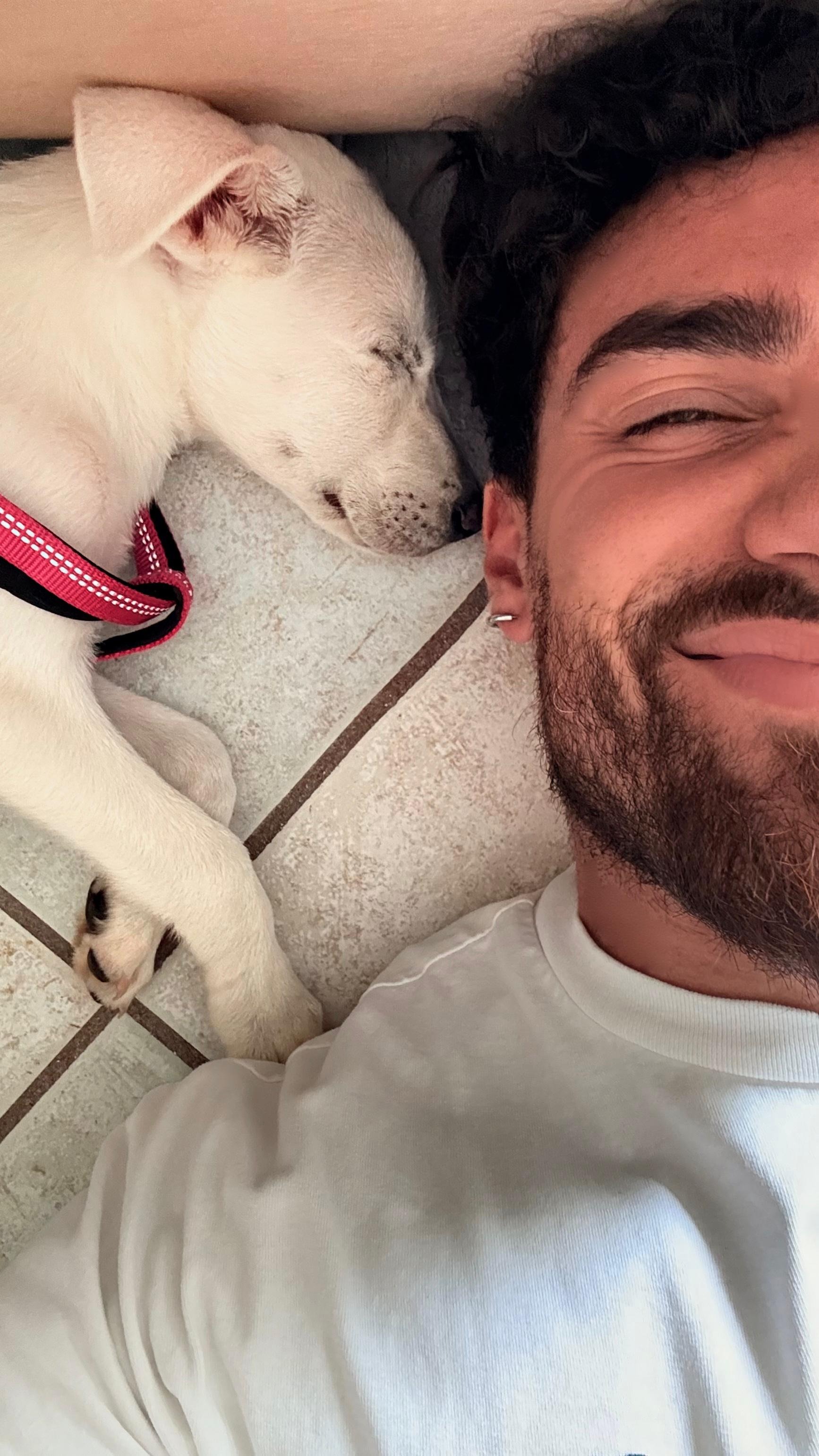 Aiutiamo insieme Maki 3 mesi a sopravvivere ❤️ PARVOVIRUS campaign photo, 5 of 7