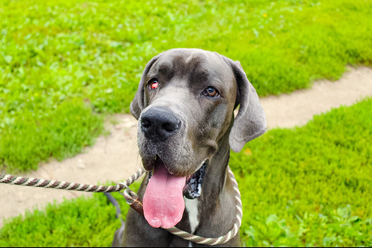 Help Jaxon See Clearly Again- IMMEDIATE EYE SURGERY NEEDED campaign photo, 5 of 6