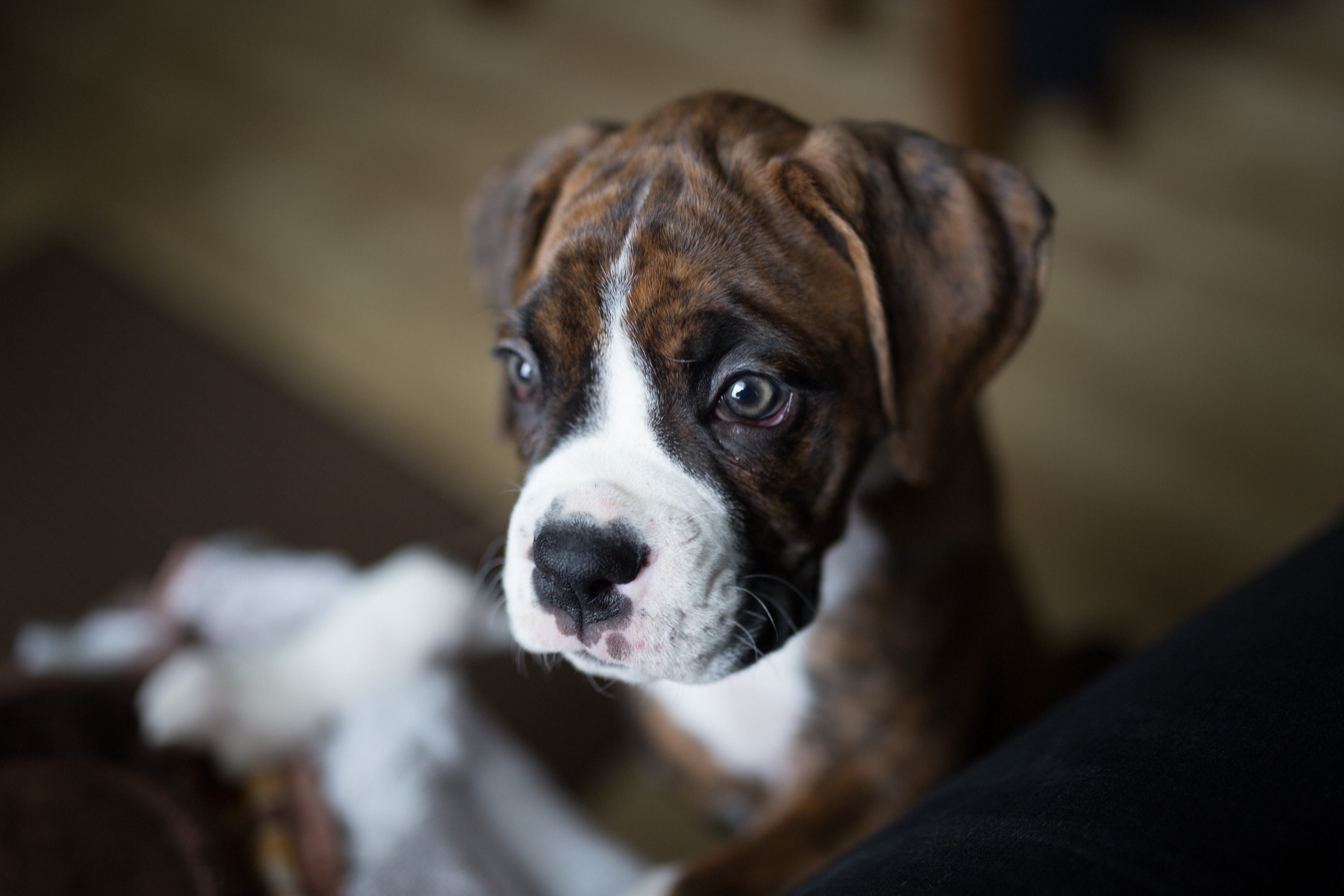 Help Jett Fight Lymphoma: Support His Treatment campaign photo, 2 of 8