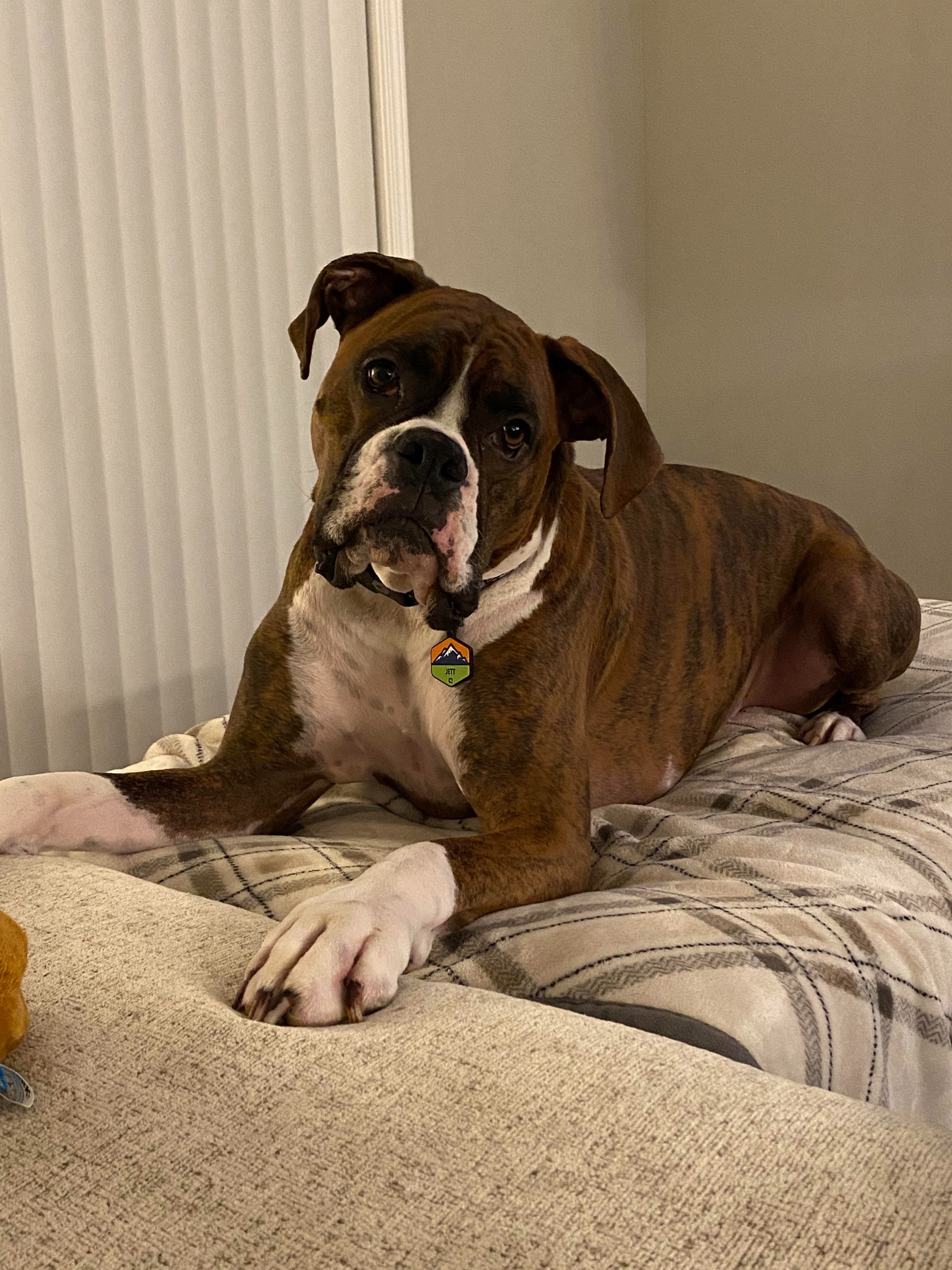 Help Jett Fight Lymphoma: Support His Treatment campaign photo, 5 of 8
