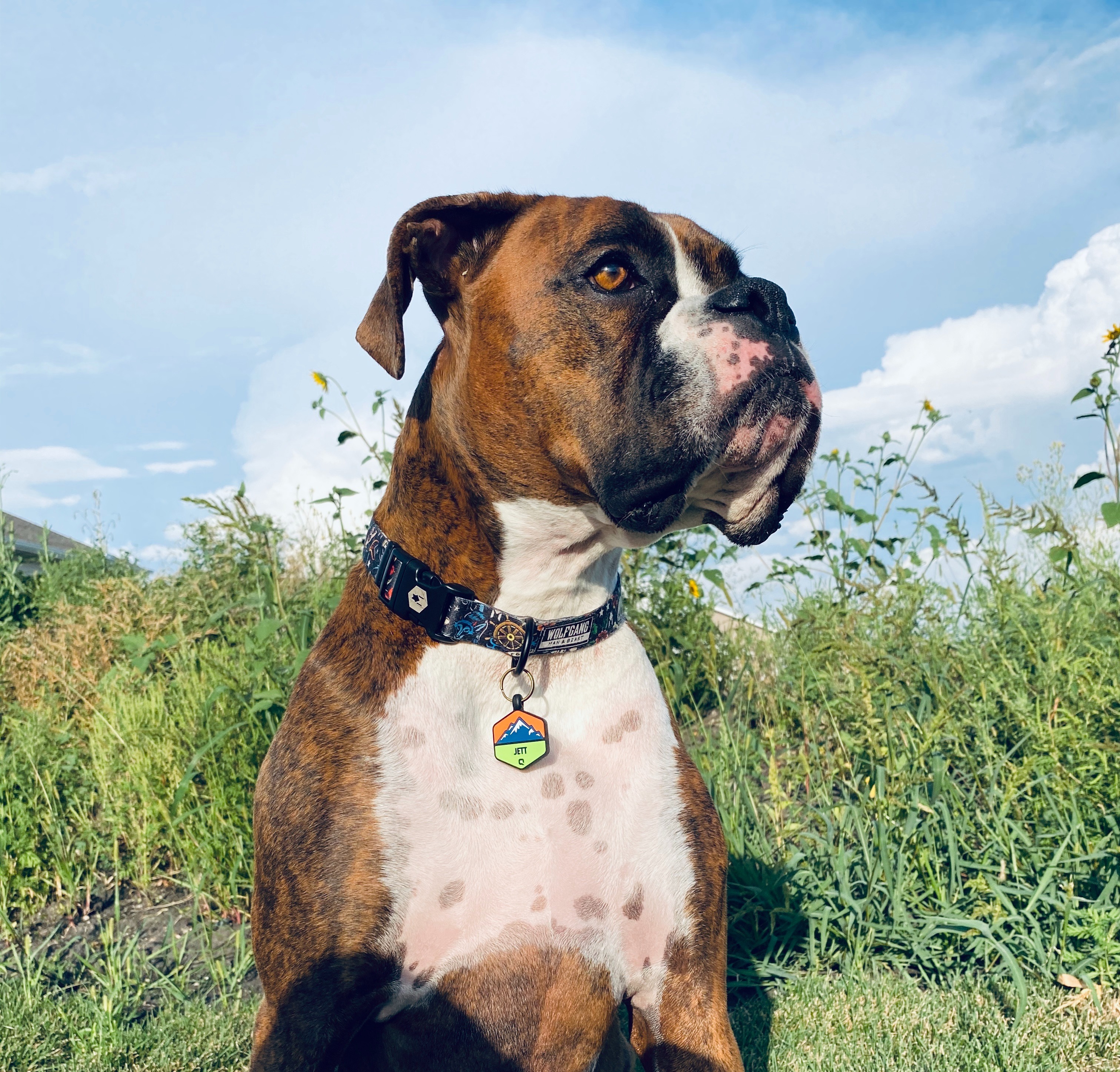 Help Jett Fight Lymphoma: Support His Treatment campaign photo, 6 of 8