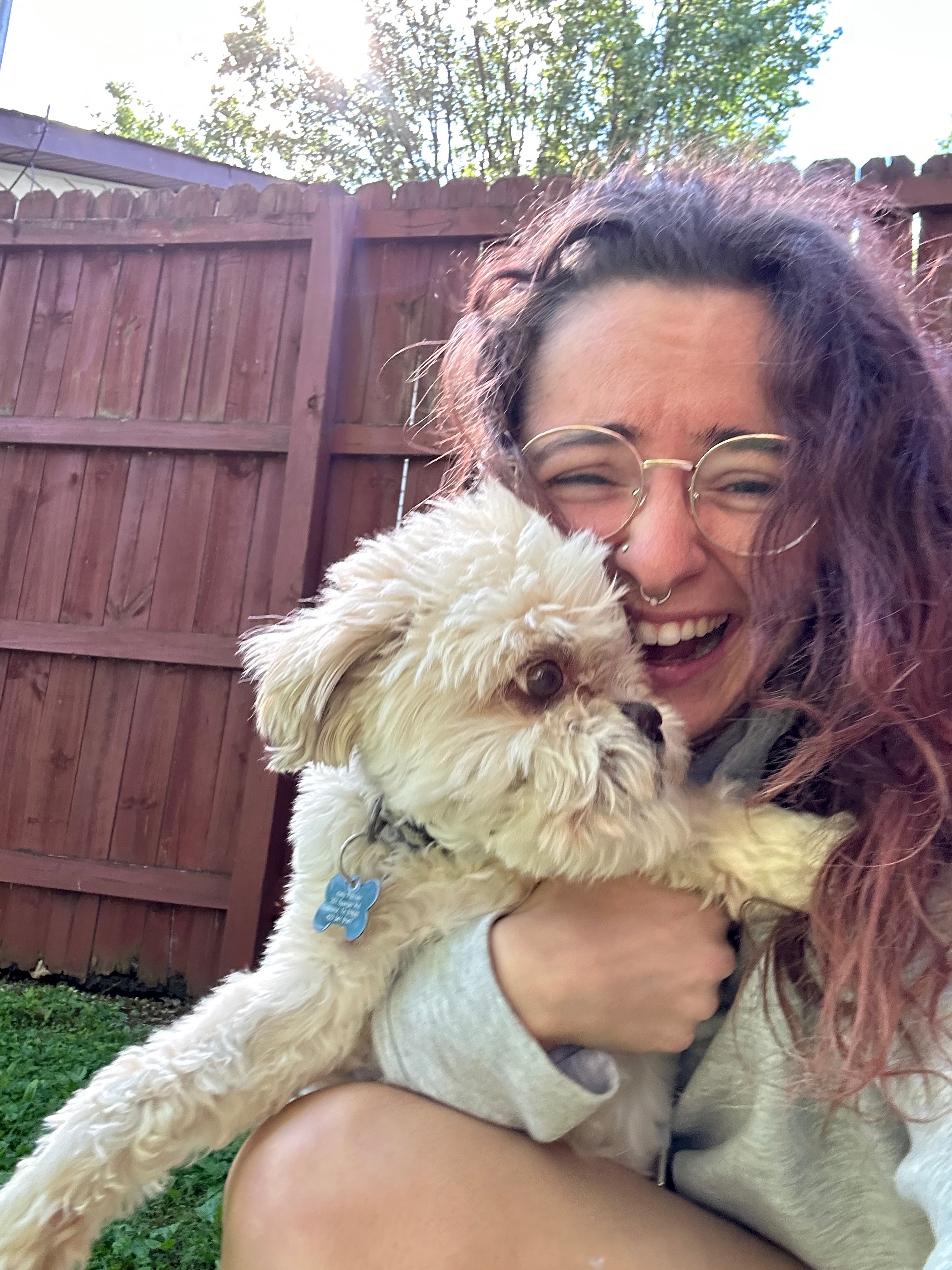 Miso the Shih Tzu reuniting with his best friend campaign photo, 7 of 8