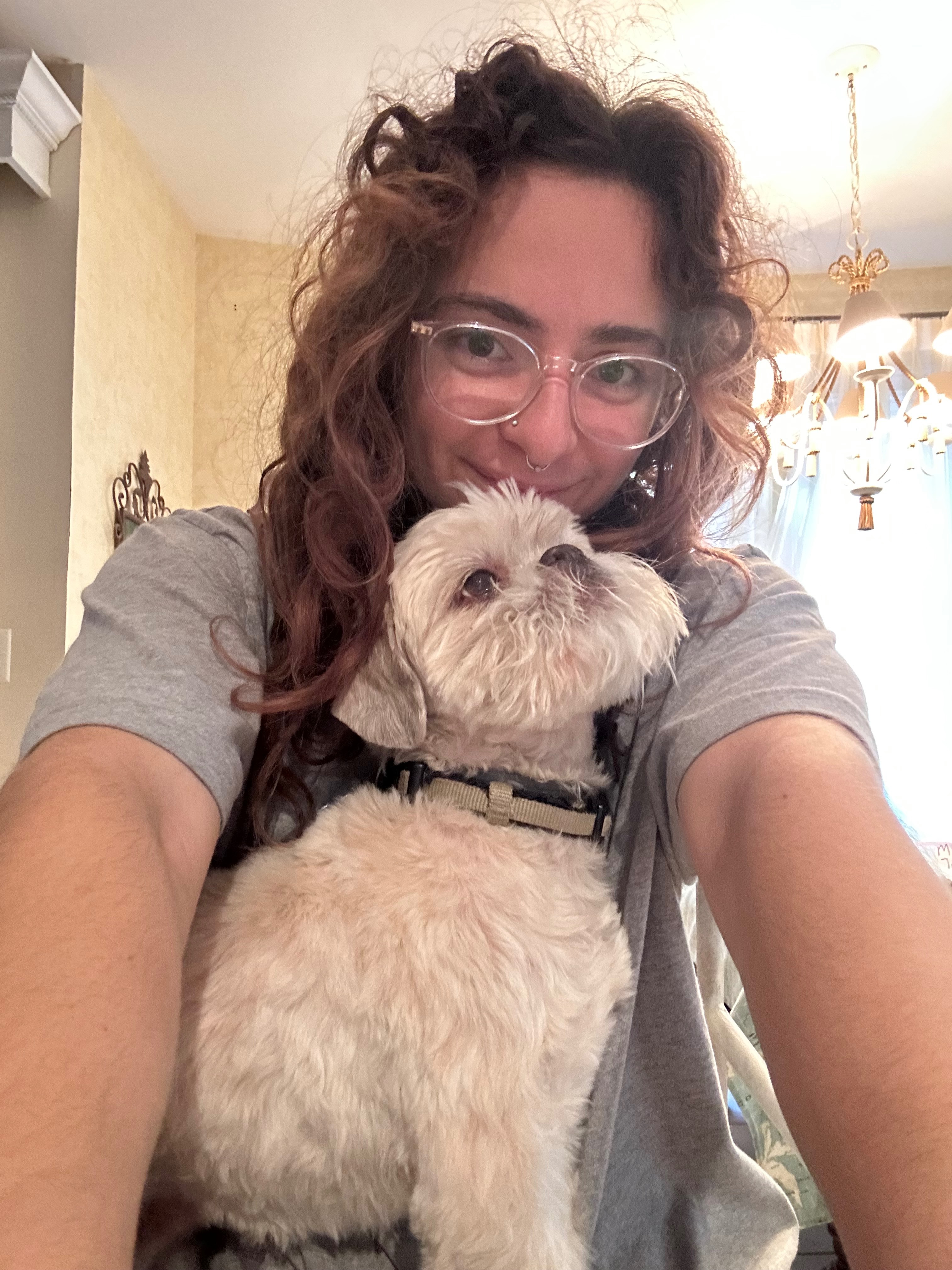 Miso the Shih Tzu reuniting with his best friend campaign photo, 2 of 8