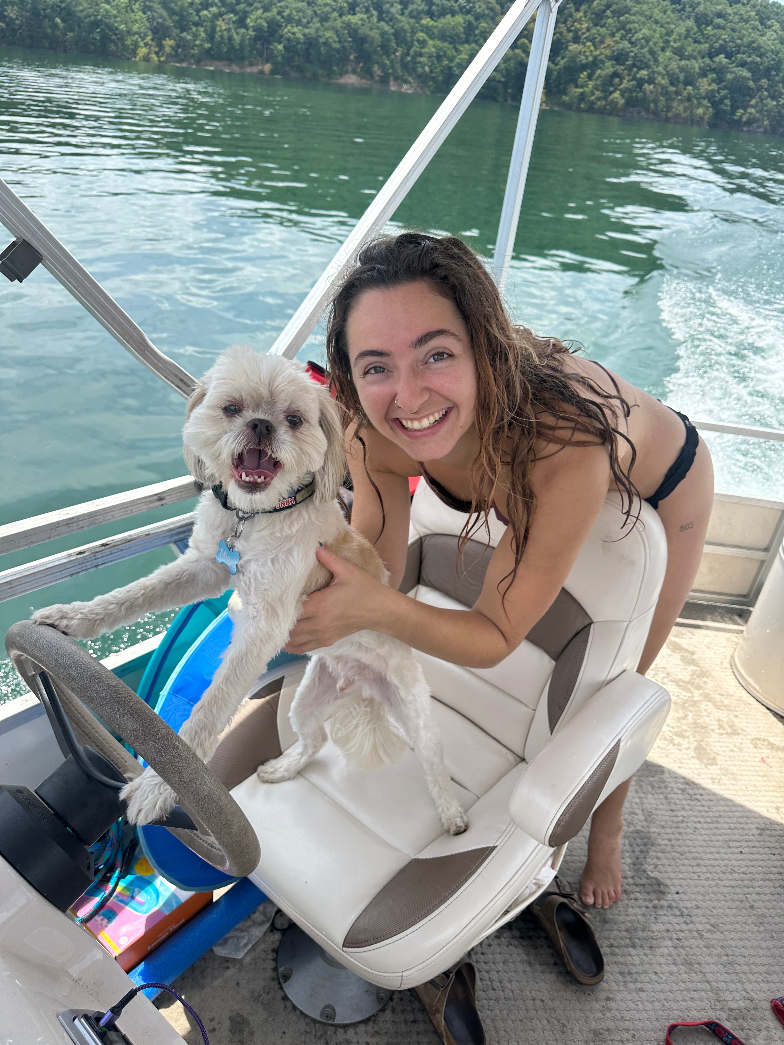 Miso the Shih Tzu reuniting with his best friend campaign photo, 6 of 8