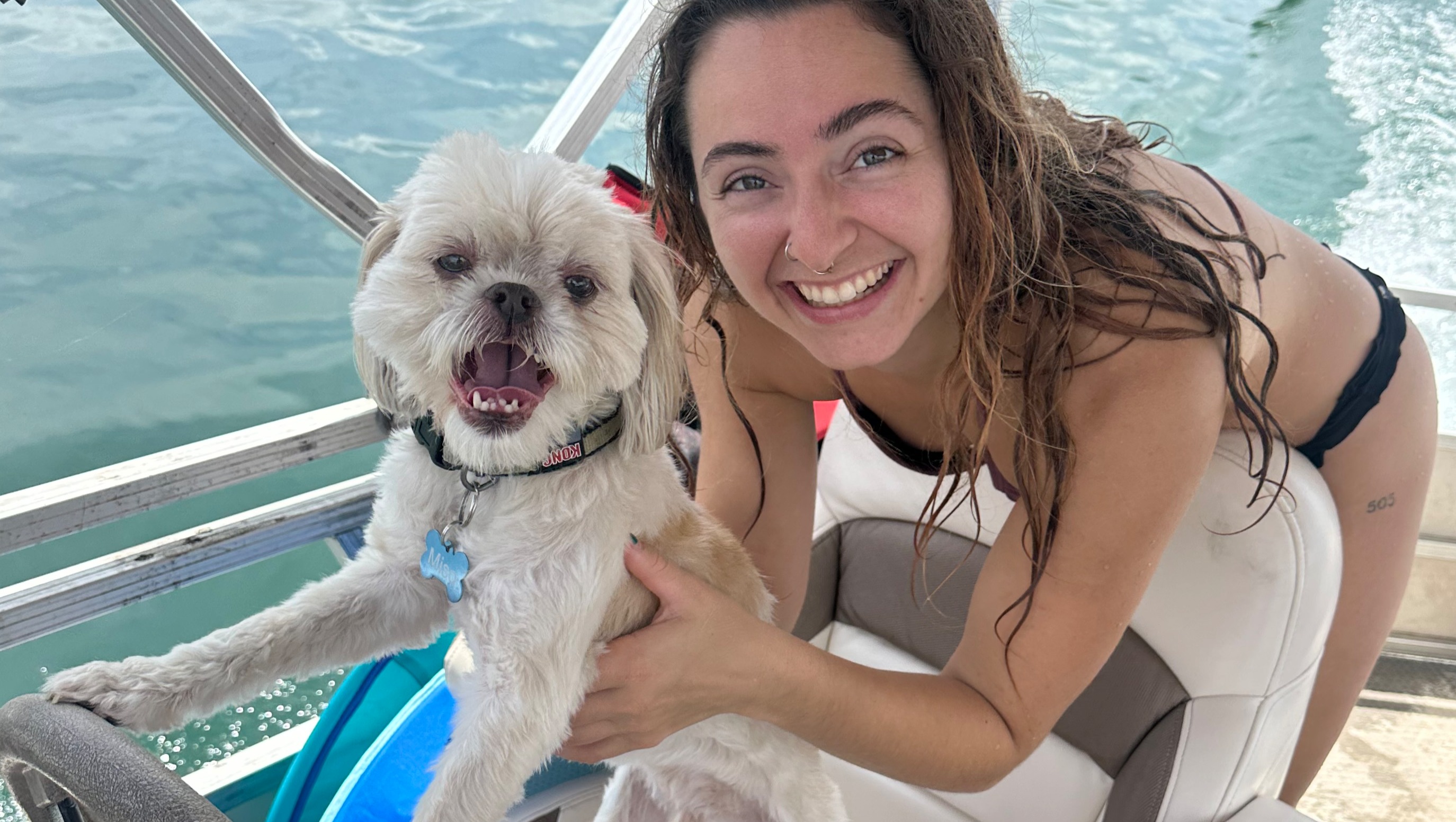 Miso the Shih Tzu reuniting with his best friend photo