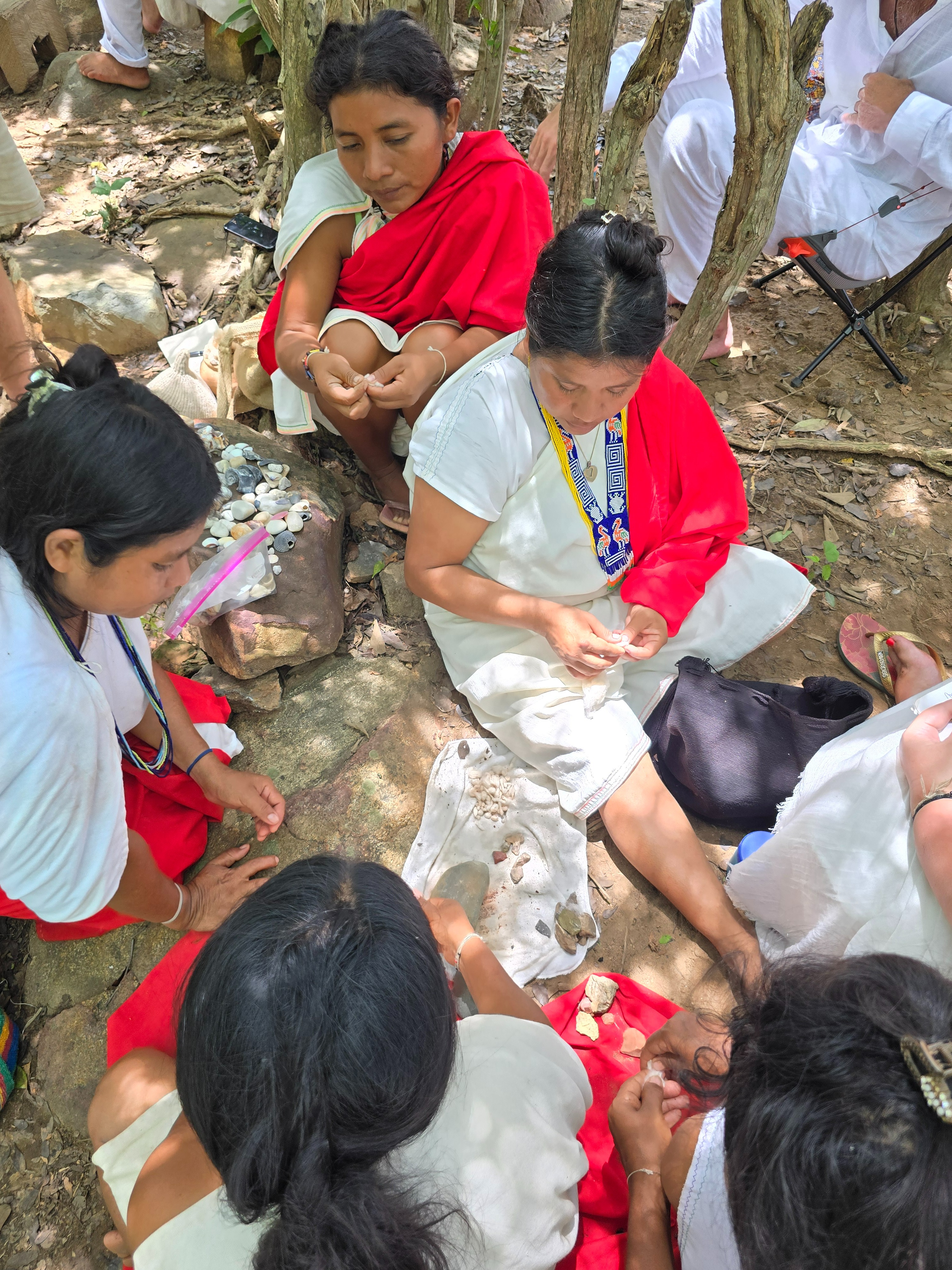 Support the Native Elders of the Sierra Nevada in Columbia. campaign photo, 6 of 6