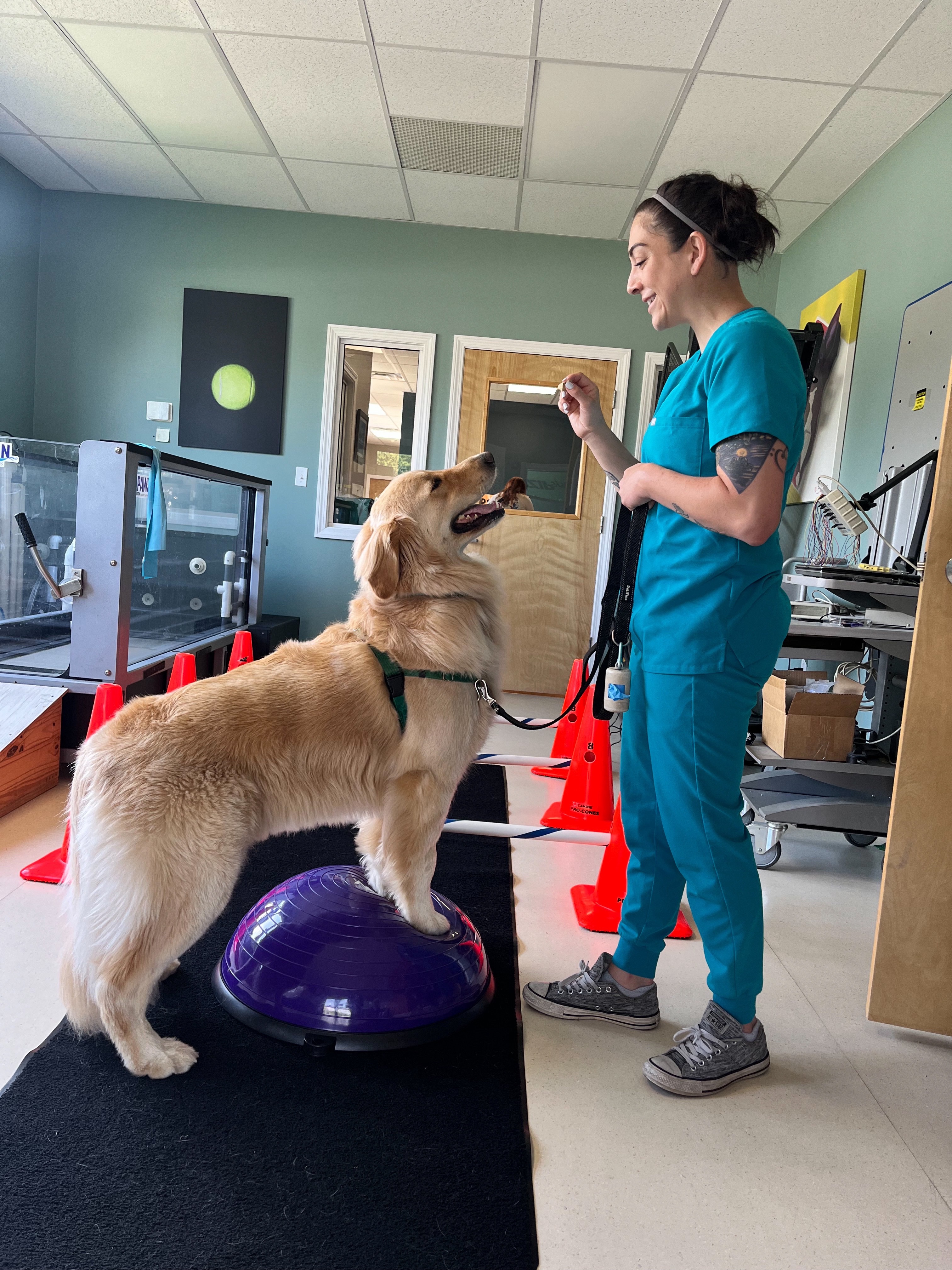 Donate to Buddy's Ongoing Medical Care campaign photo, 5 of 8