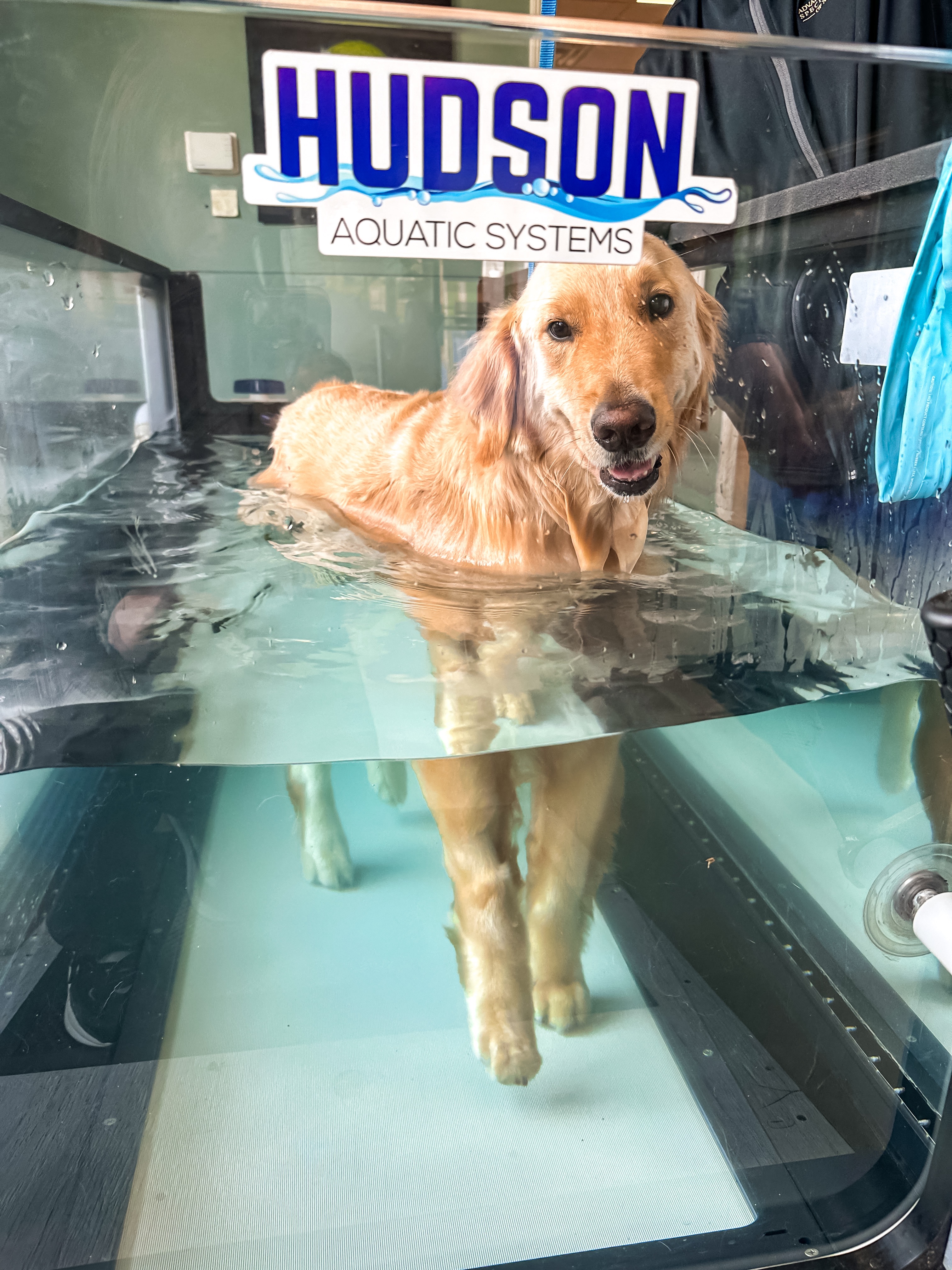 Donate to Buddy's Ongoing Medical Care campaign photo, 6 of 8