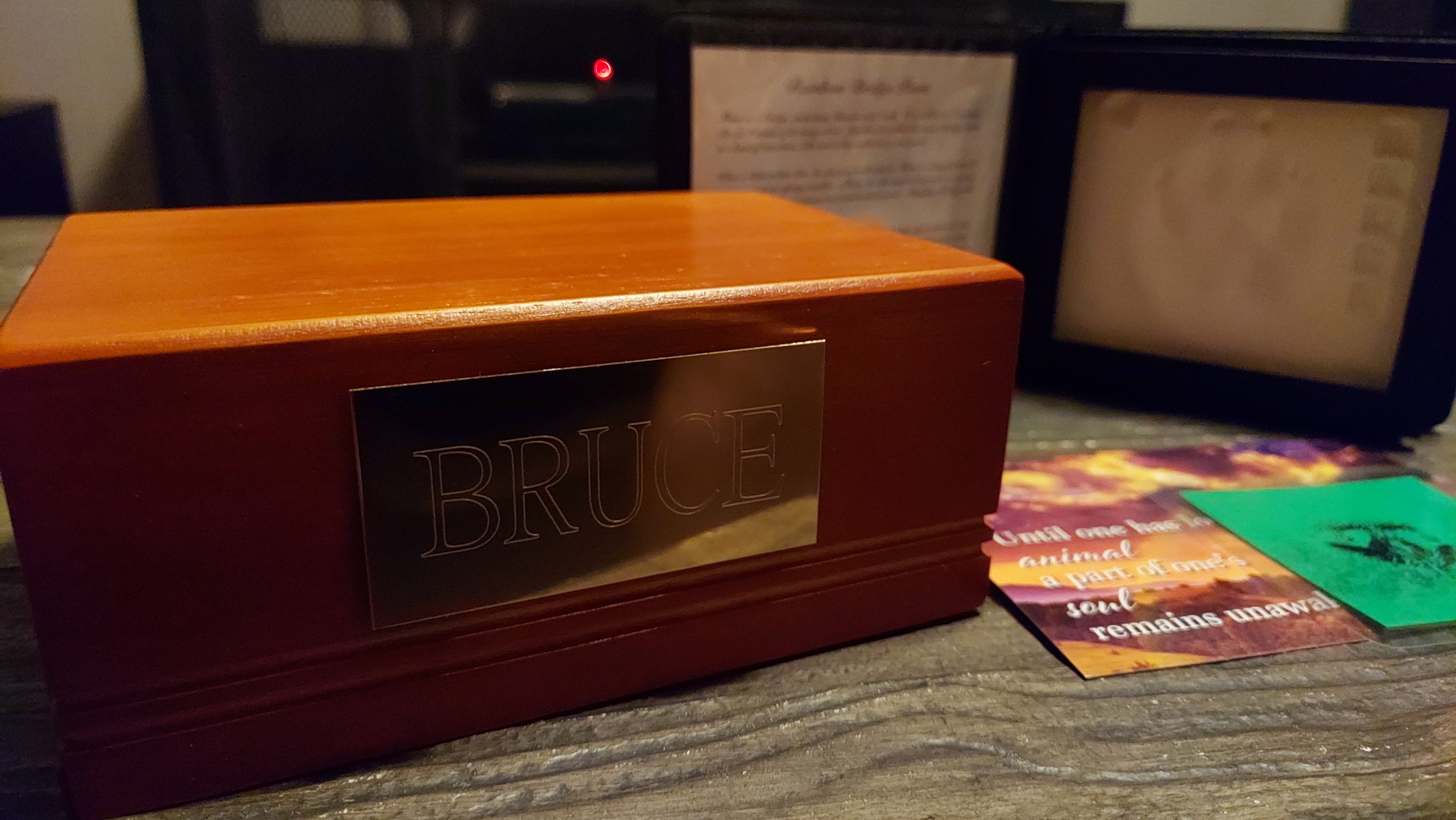 Support Needed for Bruce's Final Vet Expenses campaign photo, 4 of 6