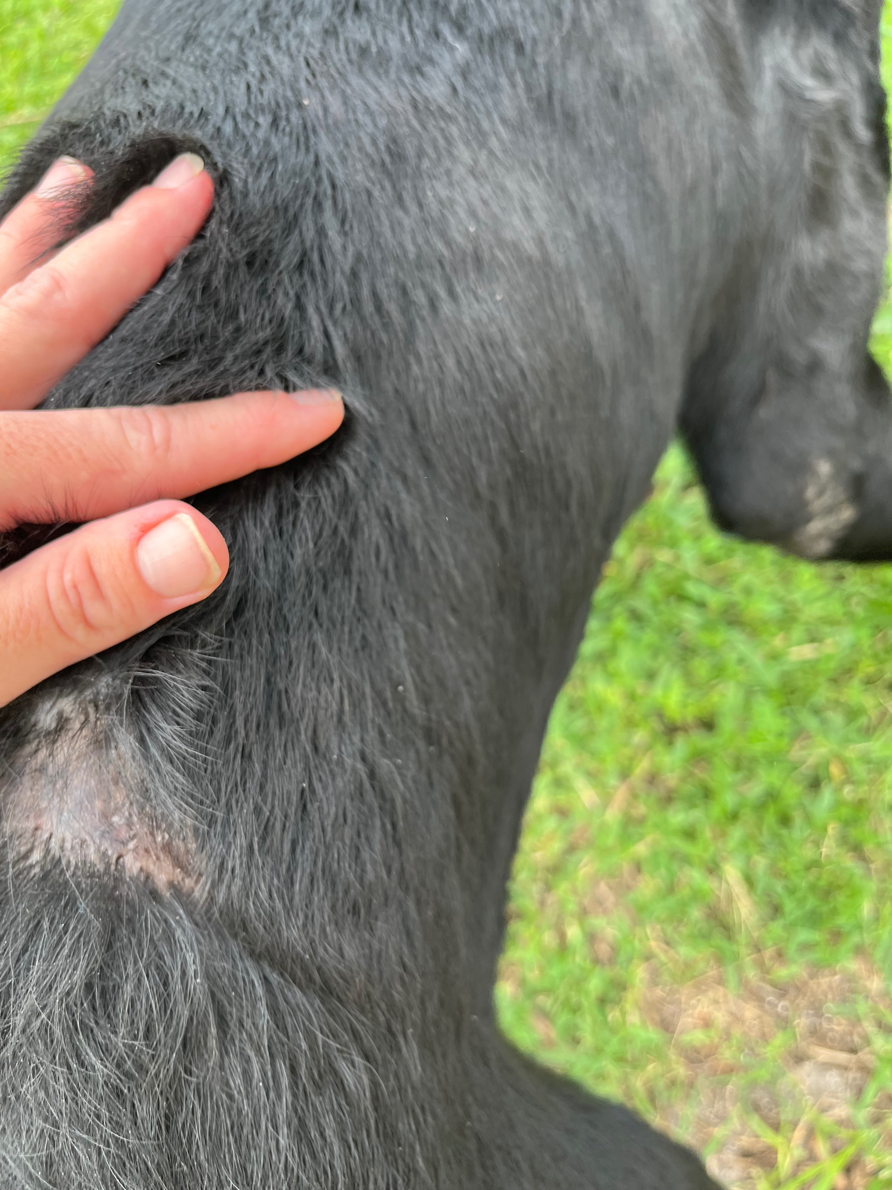 Help Luna Overcome Her Health Struggles campaign photo, 2 of 6