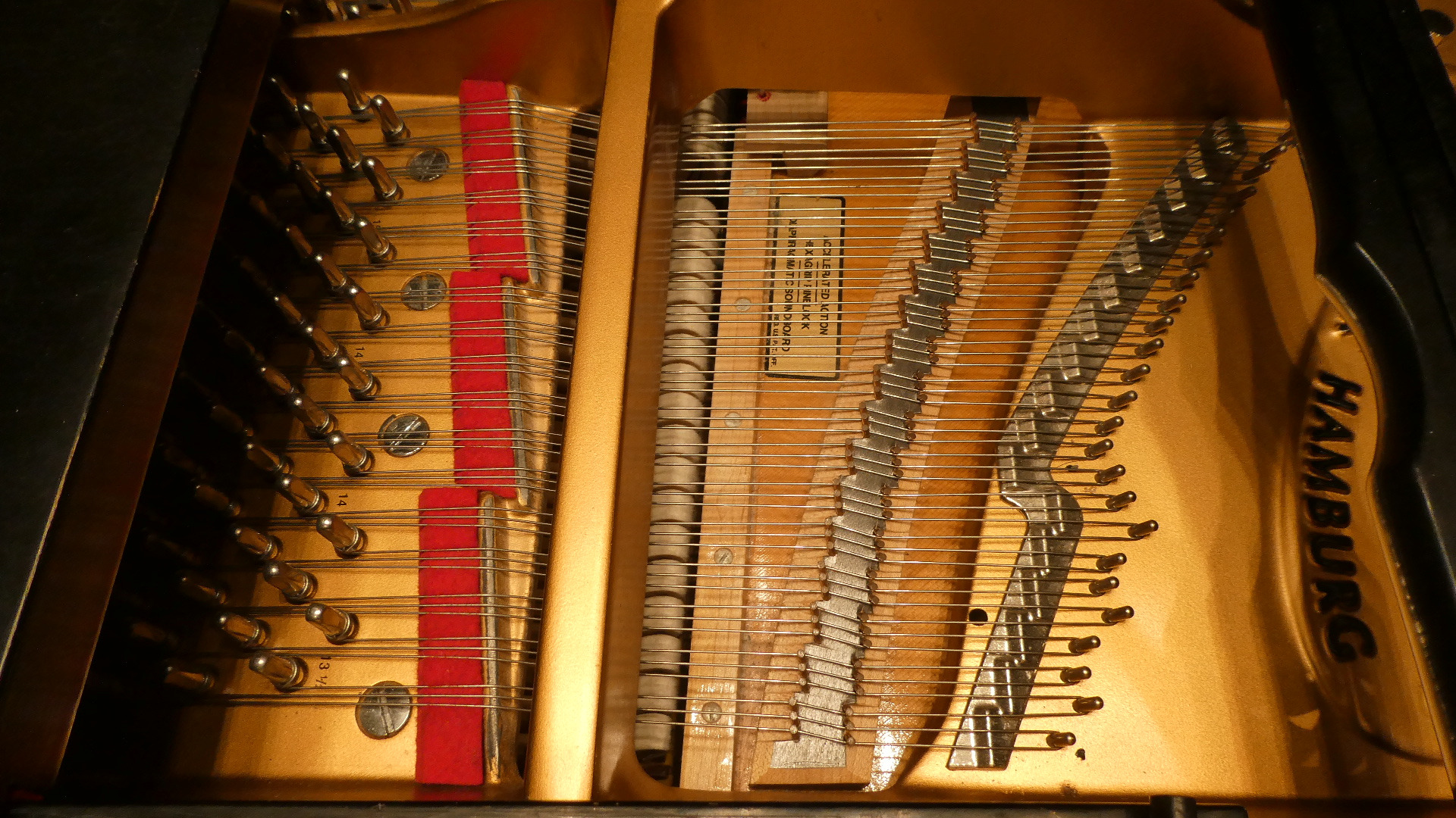 User-uploaded image 1