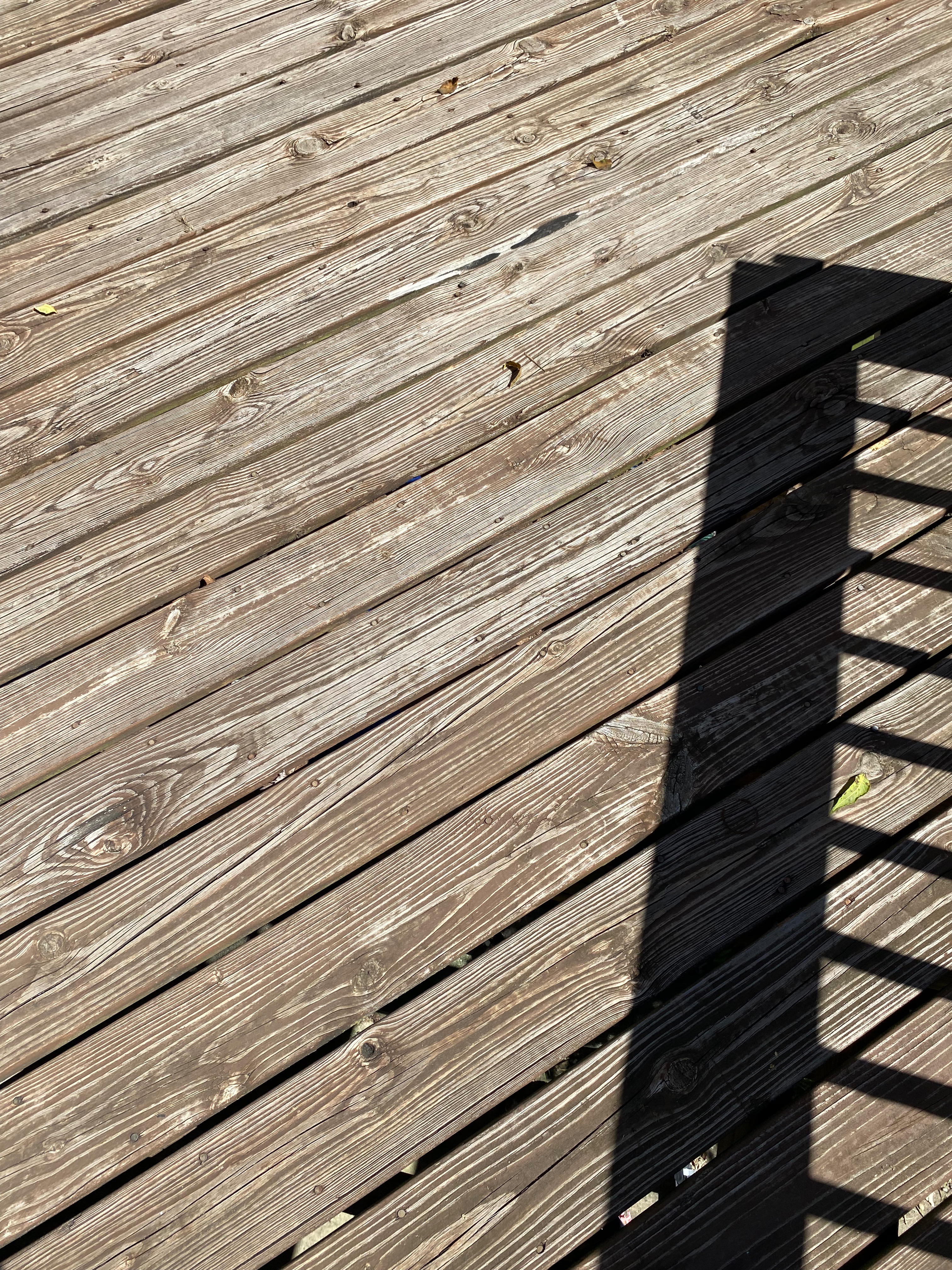 User-uploaded image 5