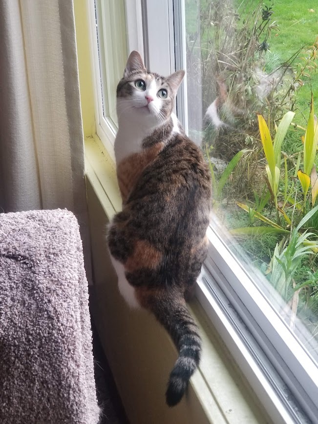 User-uploaded image 1