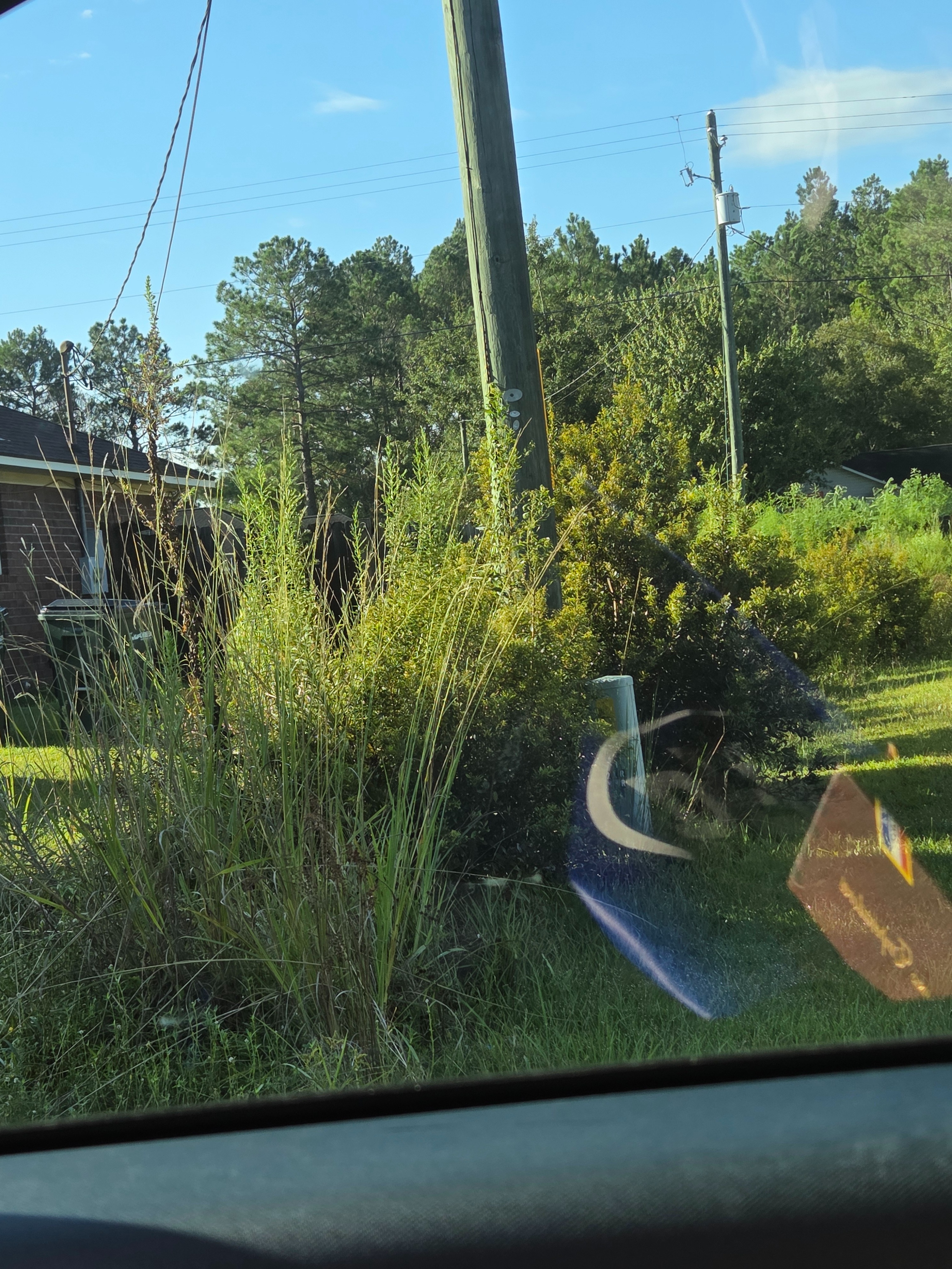 Restore Burnt Pines: Clean and Fix Roads campaign photo, 7 of 8