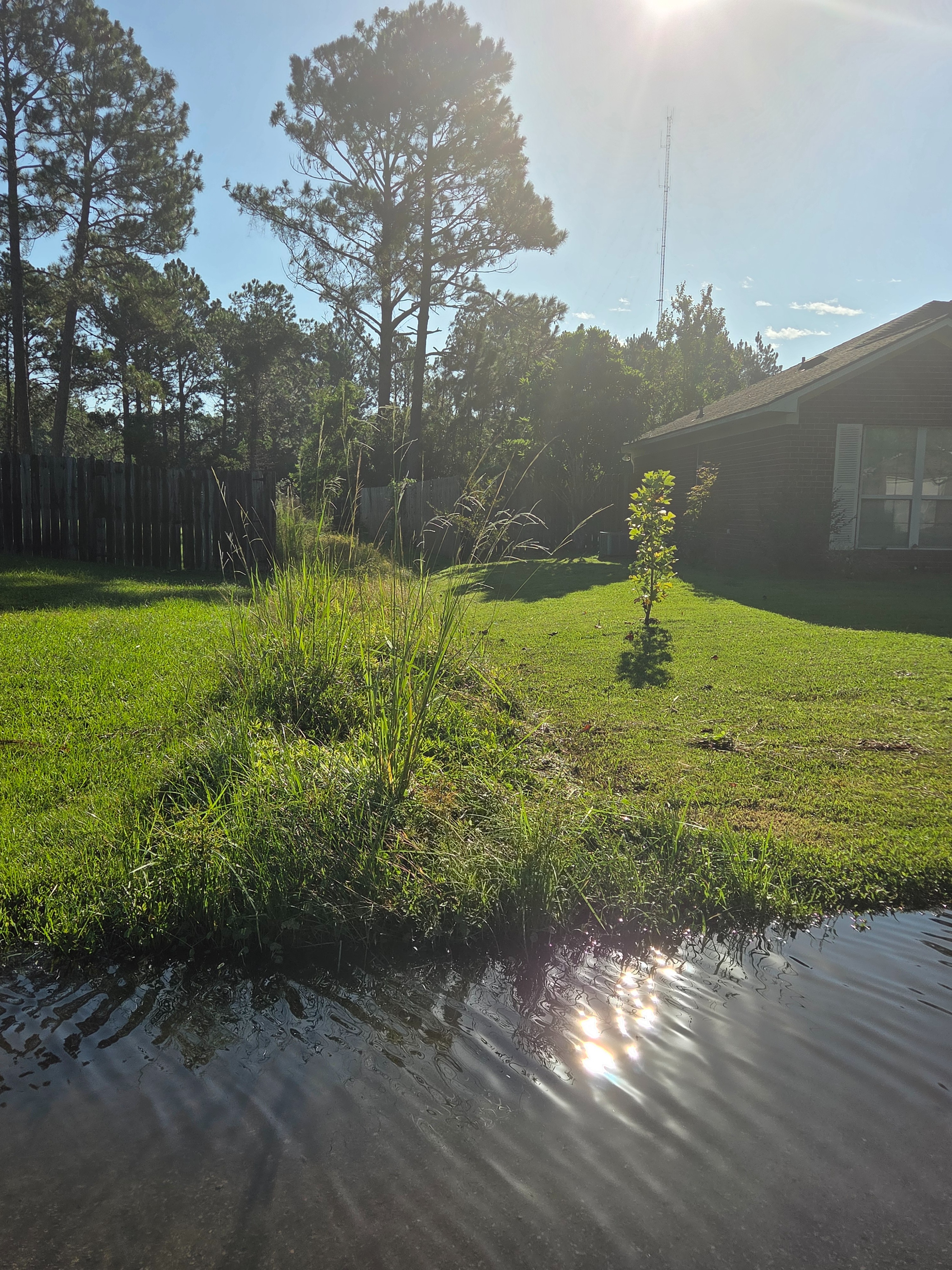 Restore Burnt Pines: Clean and Fix Roads campaign photo, 2 of 8