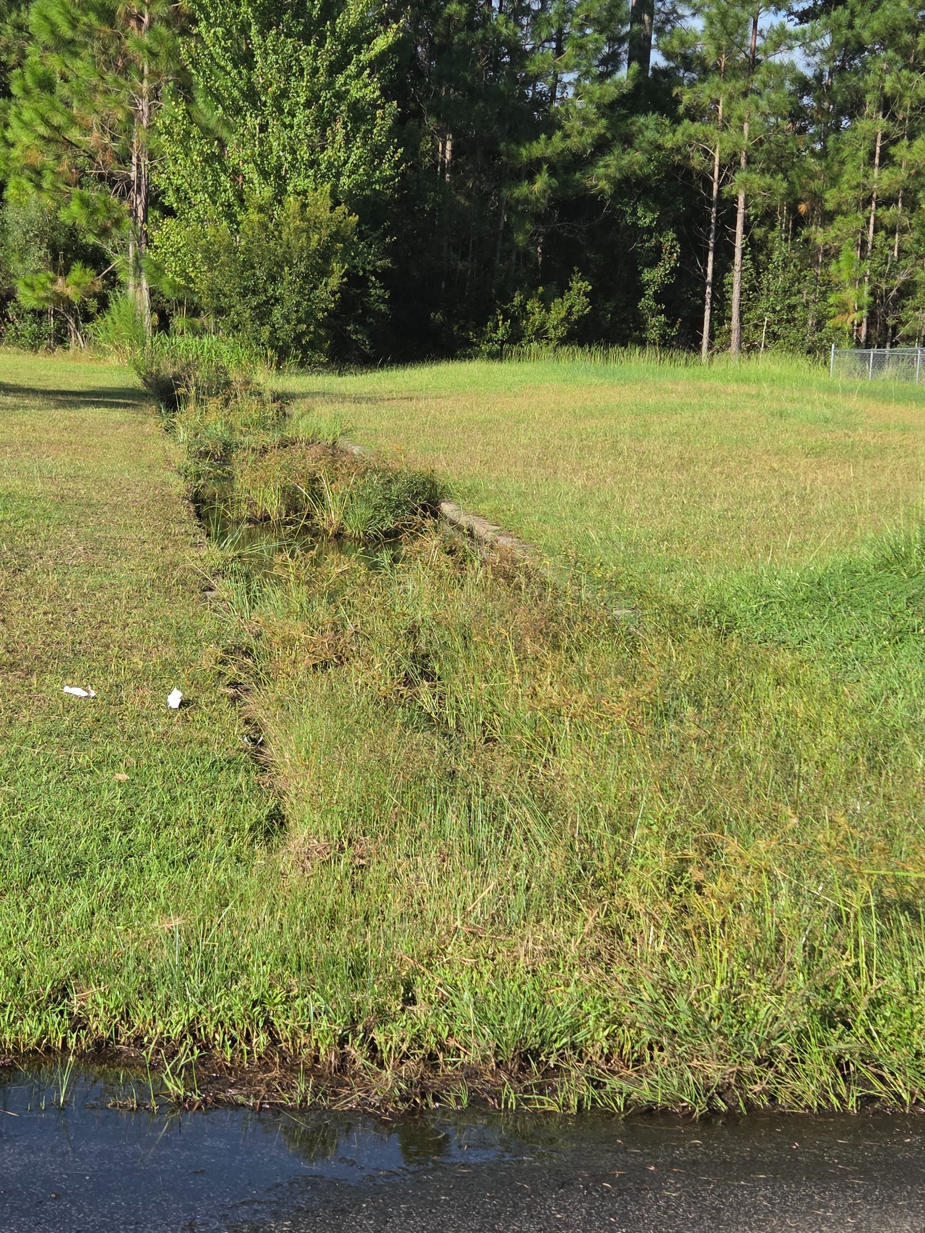 Restore Burnt Pines: Clean and Fix Roads campaign photo, 4 of 8