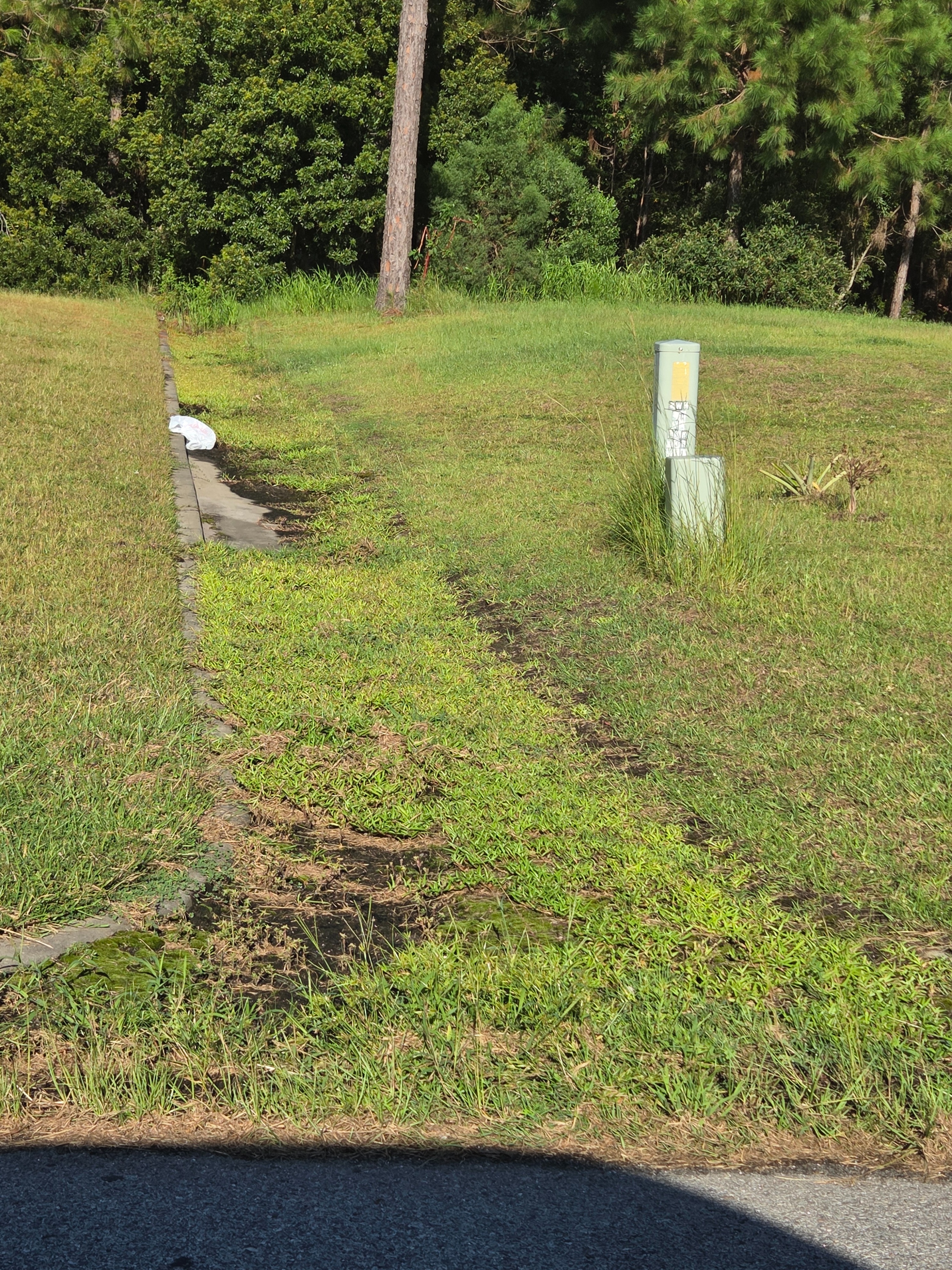 Restore Burnt Pines: Clean and Fix Roads campaign photo, 6 of 8