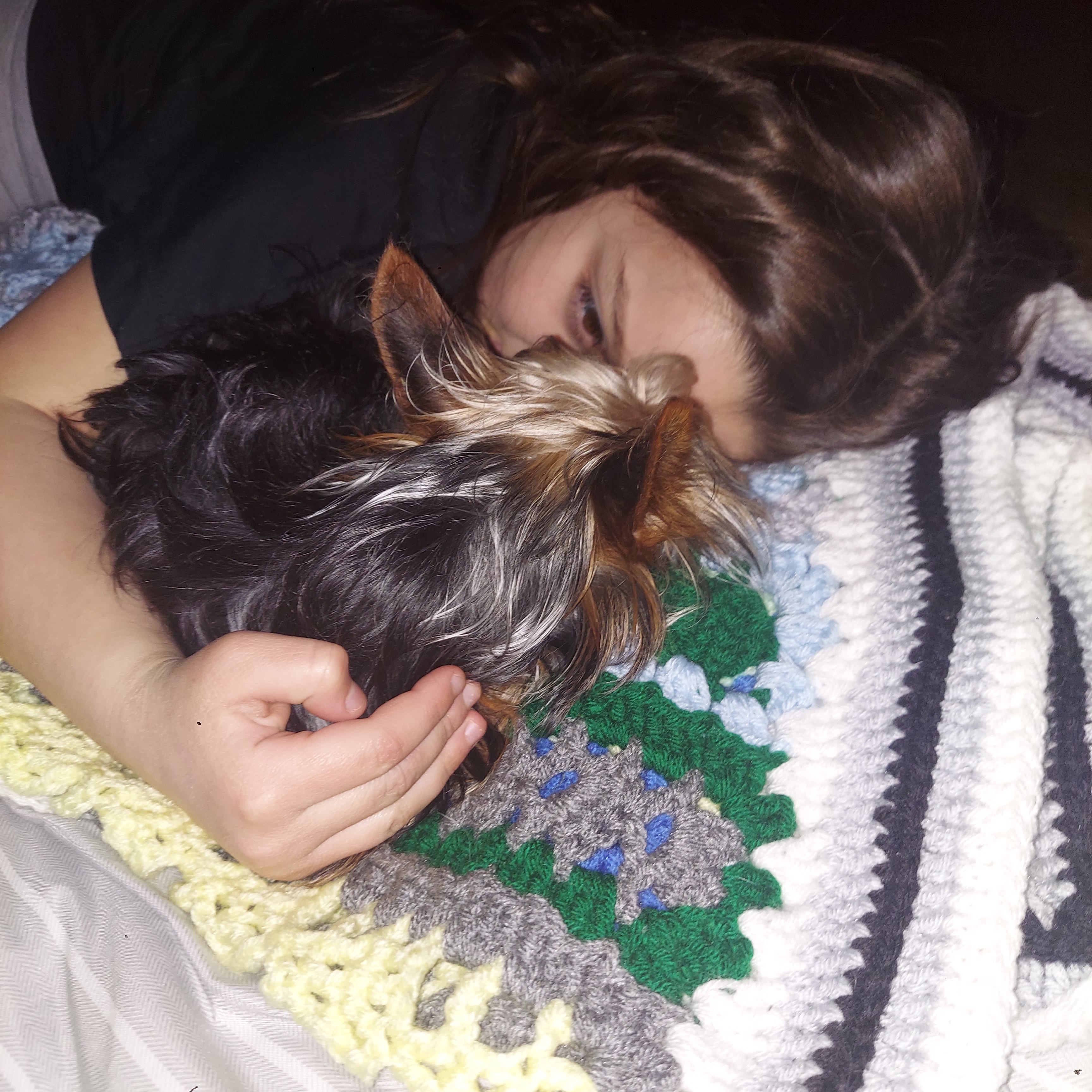 My very sick beloved family dog, 1yr old yorkie, Wolfy campaign photo, 6 of 8