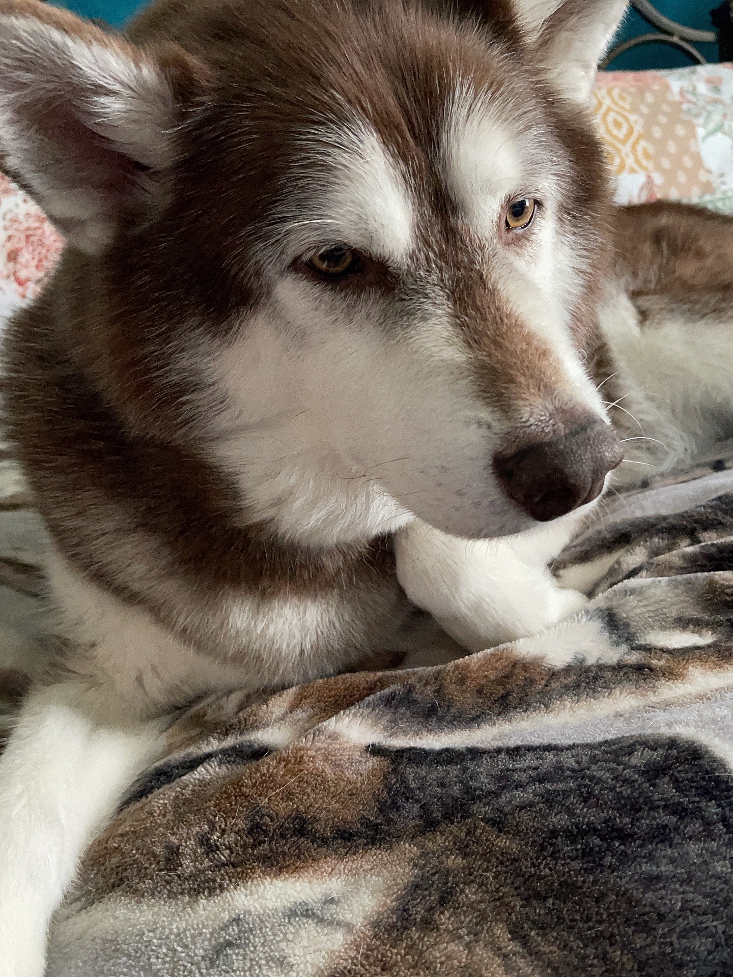 Help Echo with his cancer campaign photo, 4 of 5