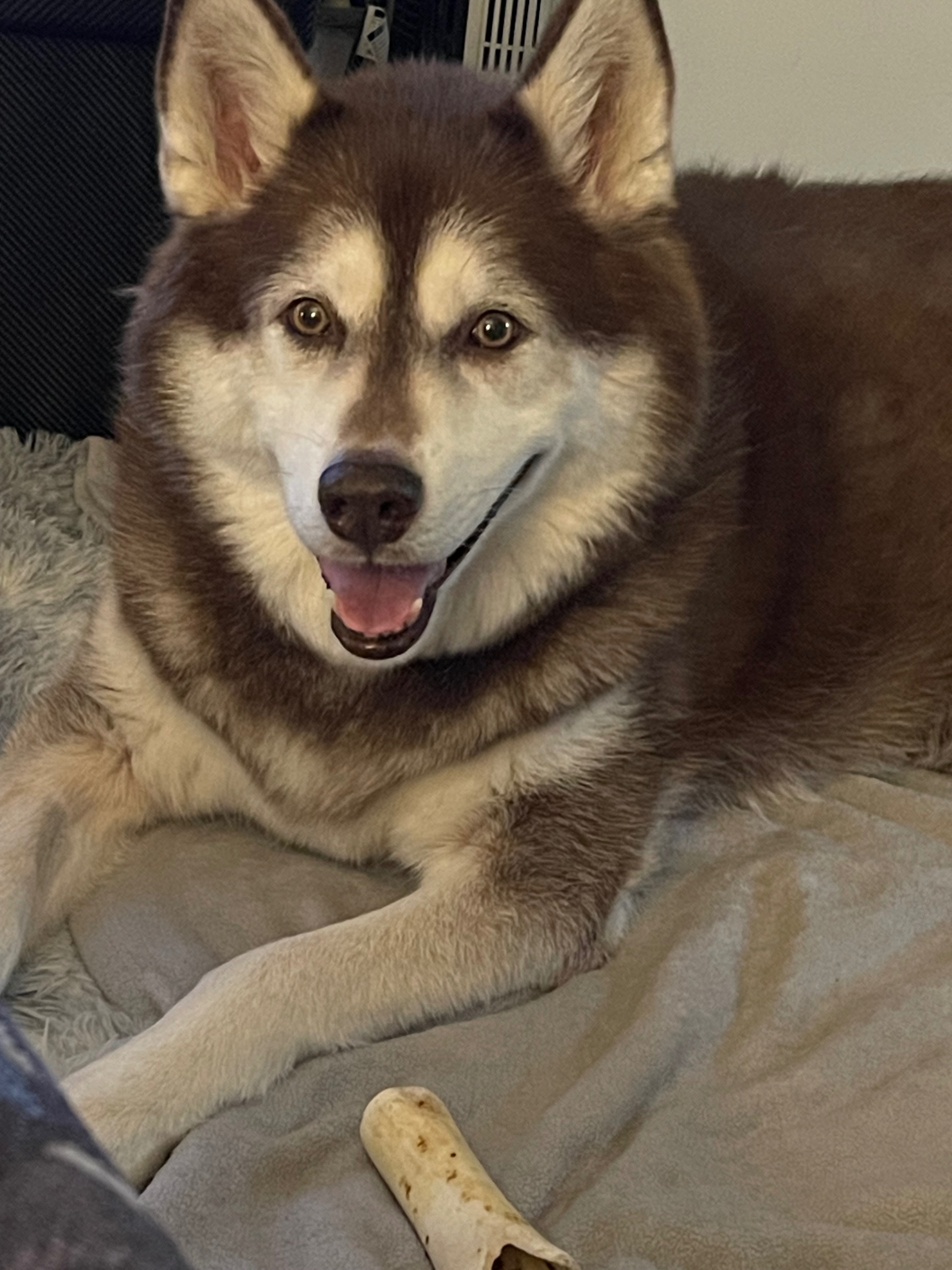 Help Echo with his cancer campaign photo, 2 of 5