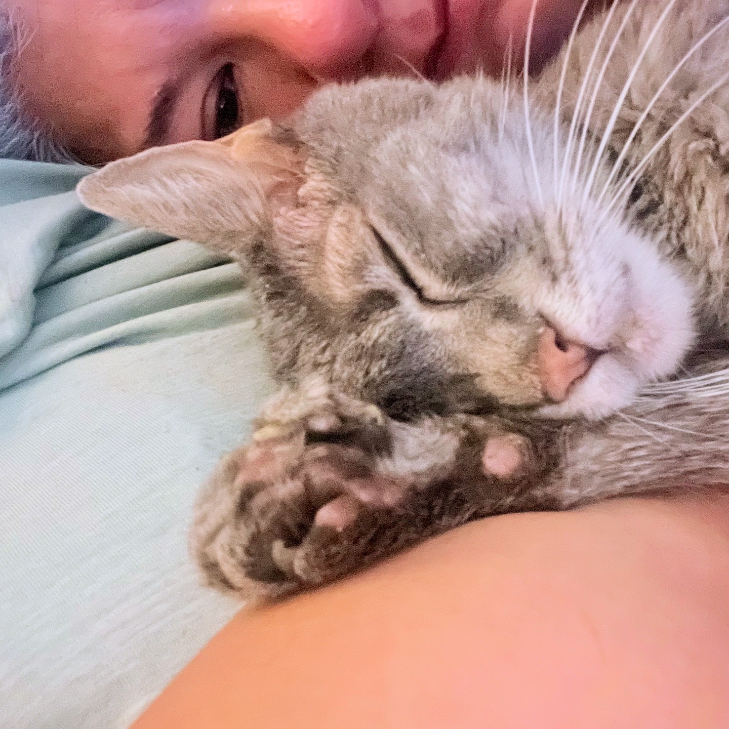 Help Me Give Margo A Peaceful Farewell campaign photo, 2 of 8