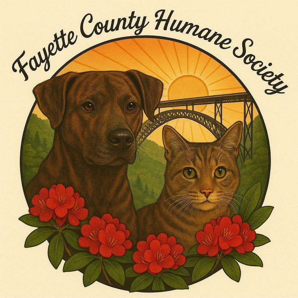 Losing Our Shelter, Not Our Mission — Save Fayette County’s campaign photo, 2 of 4