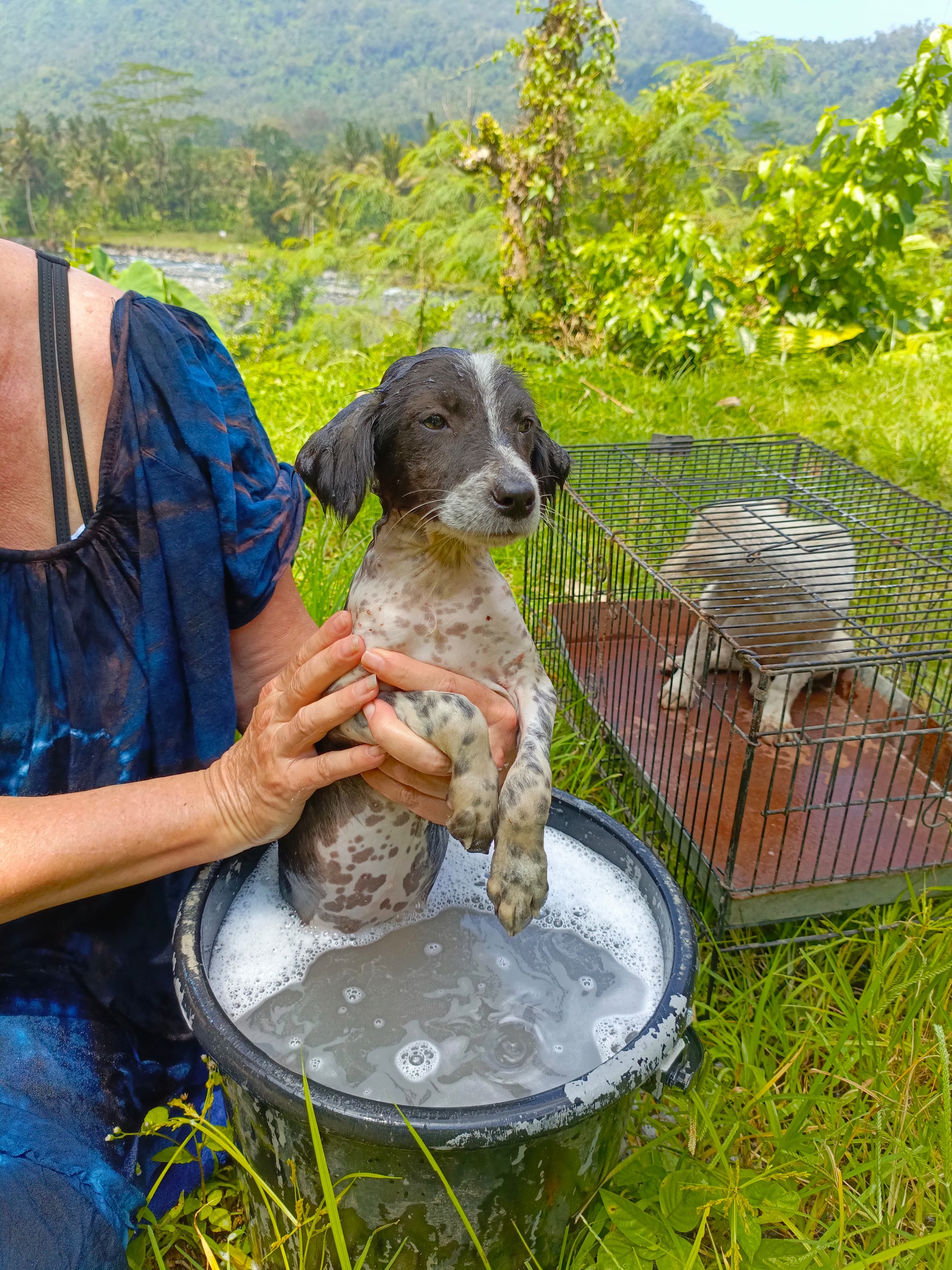 Lola's and Lucy's Legacy campaign photo, 5 of 8