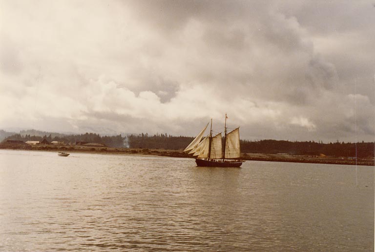 Every dollar gets us a mile closer to Rrrrr treasure!!! campaign photo, 5 of 6
